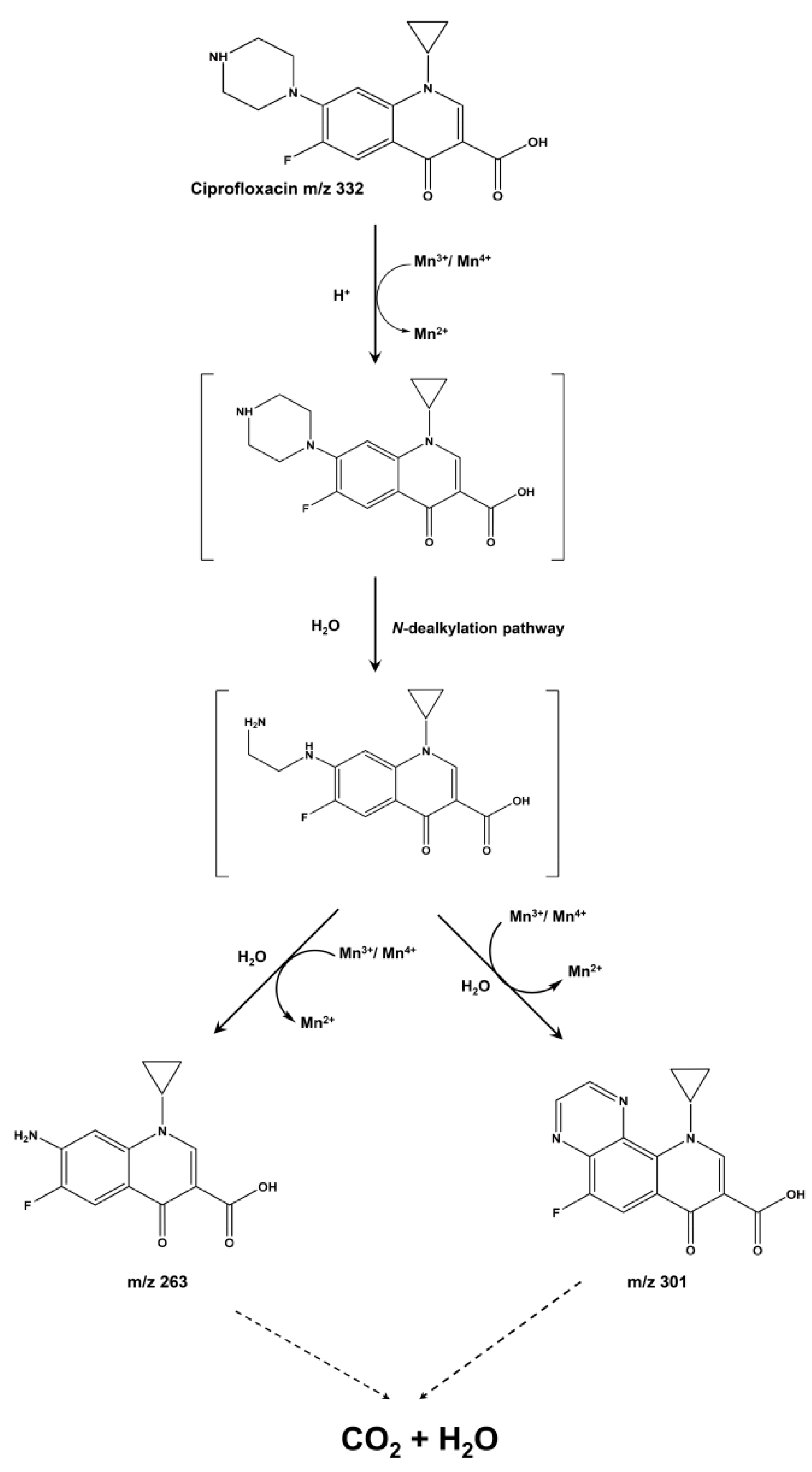 Nanomaterials 11 01660 g005