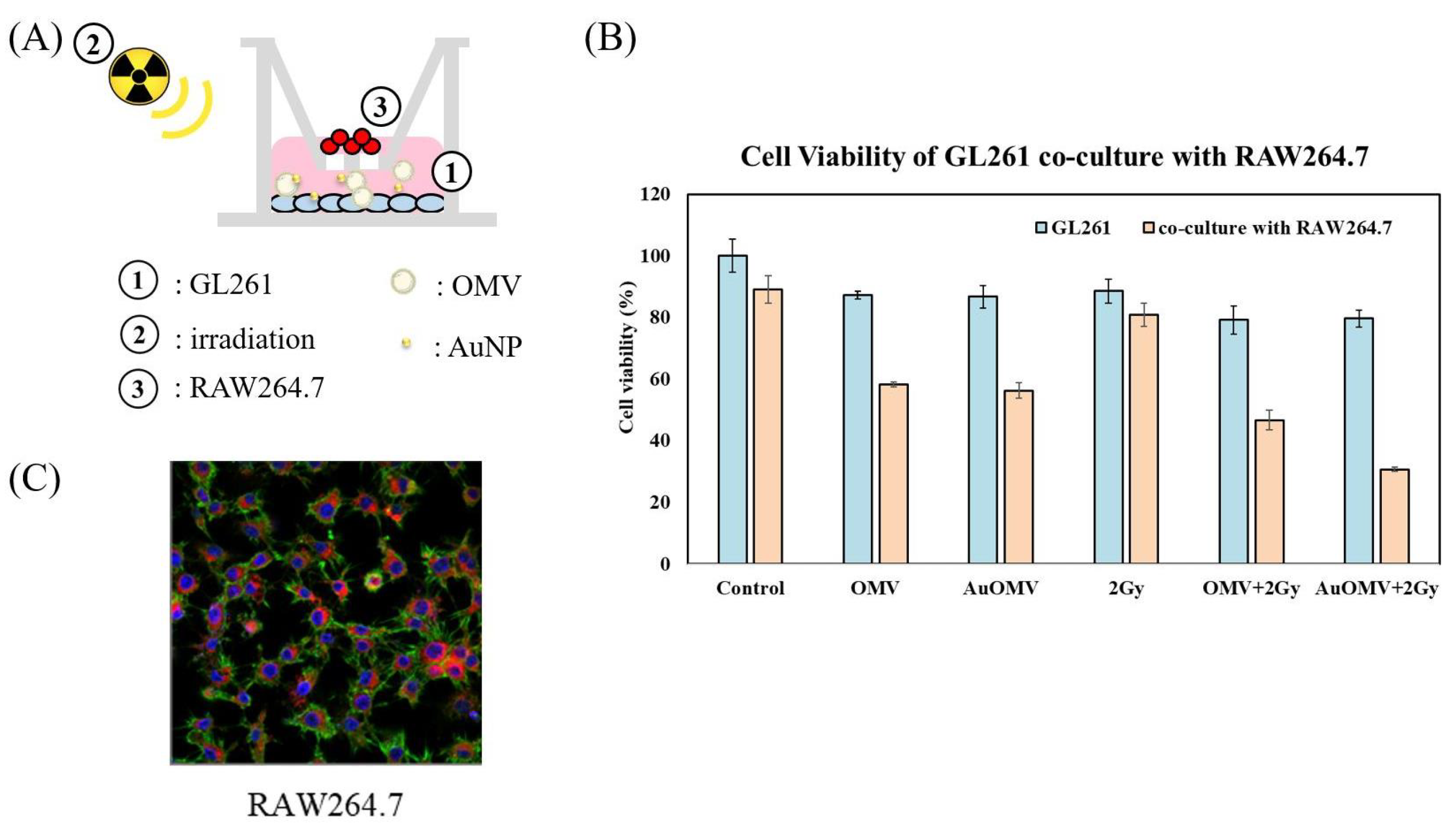 Nanomaterials 11 01661 g003