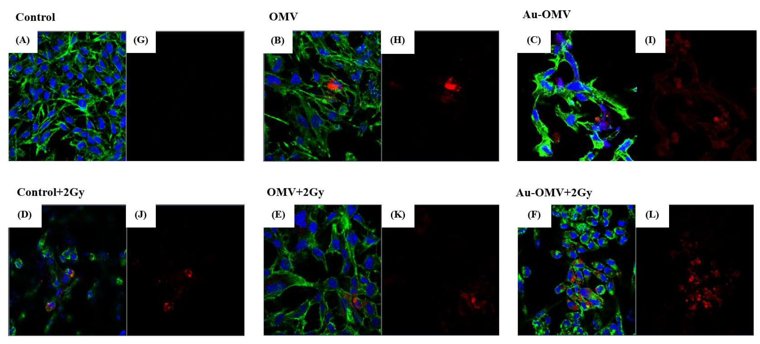 Nanomaterials 11 01661 g004