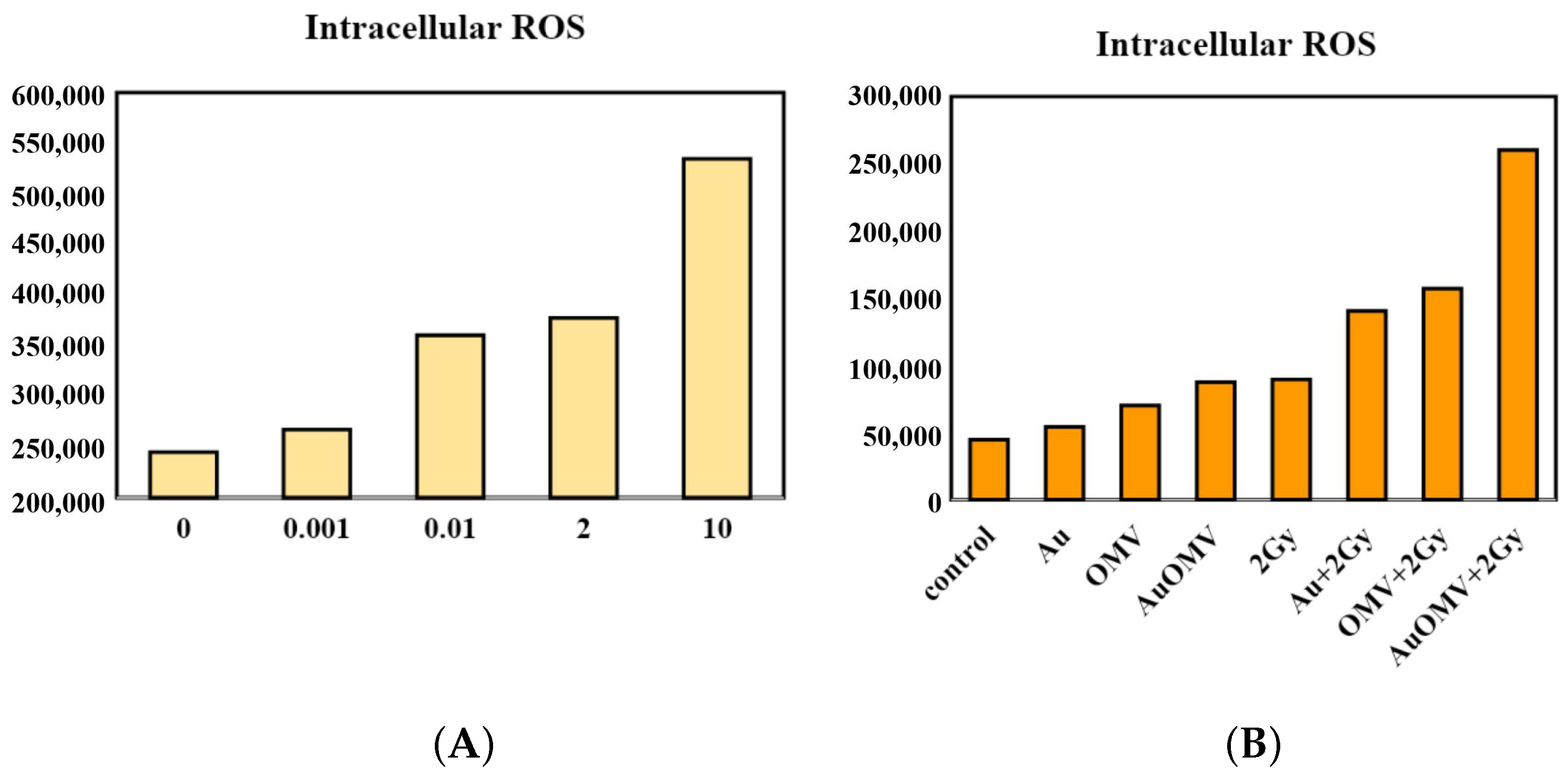 Nanomaterials 11 01661 g005