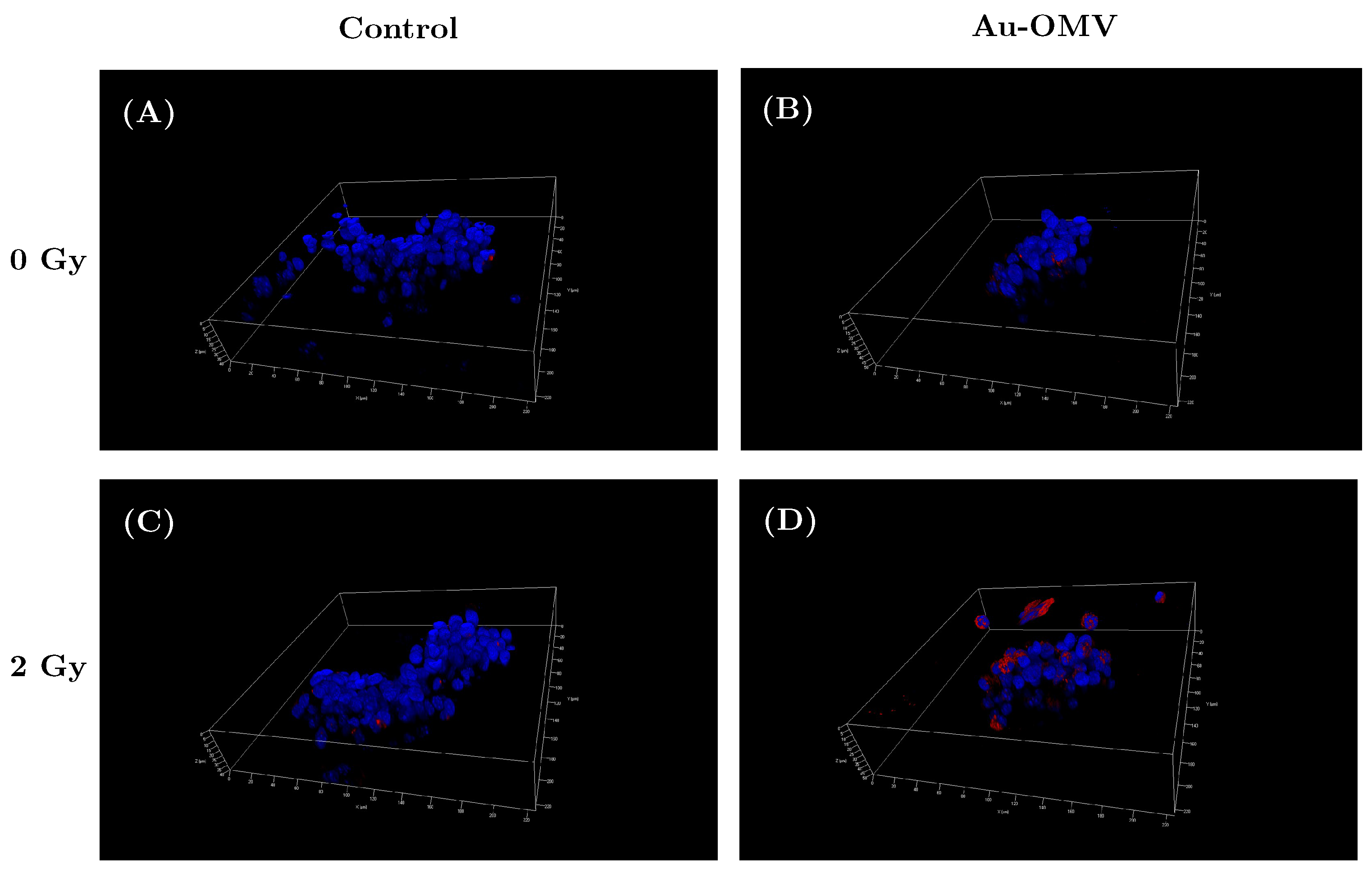 Nanomaterials 11 01661 g006