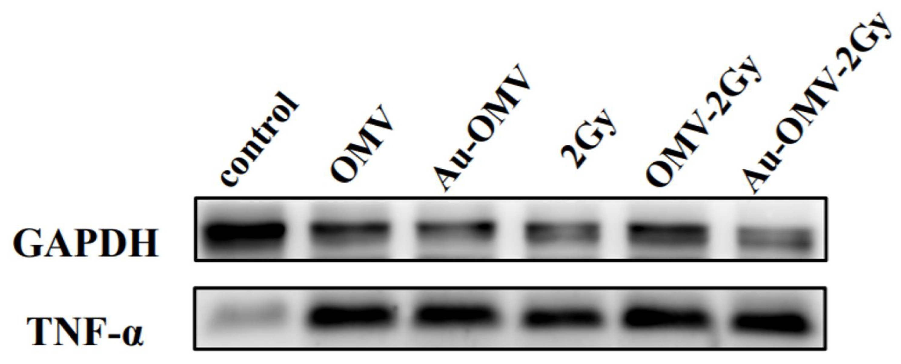 Nanomaterials 11 01661 g007