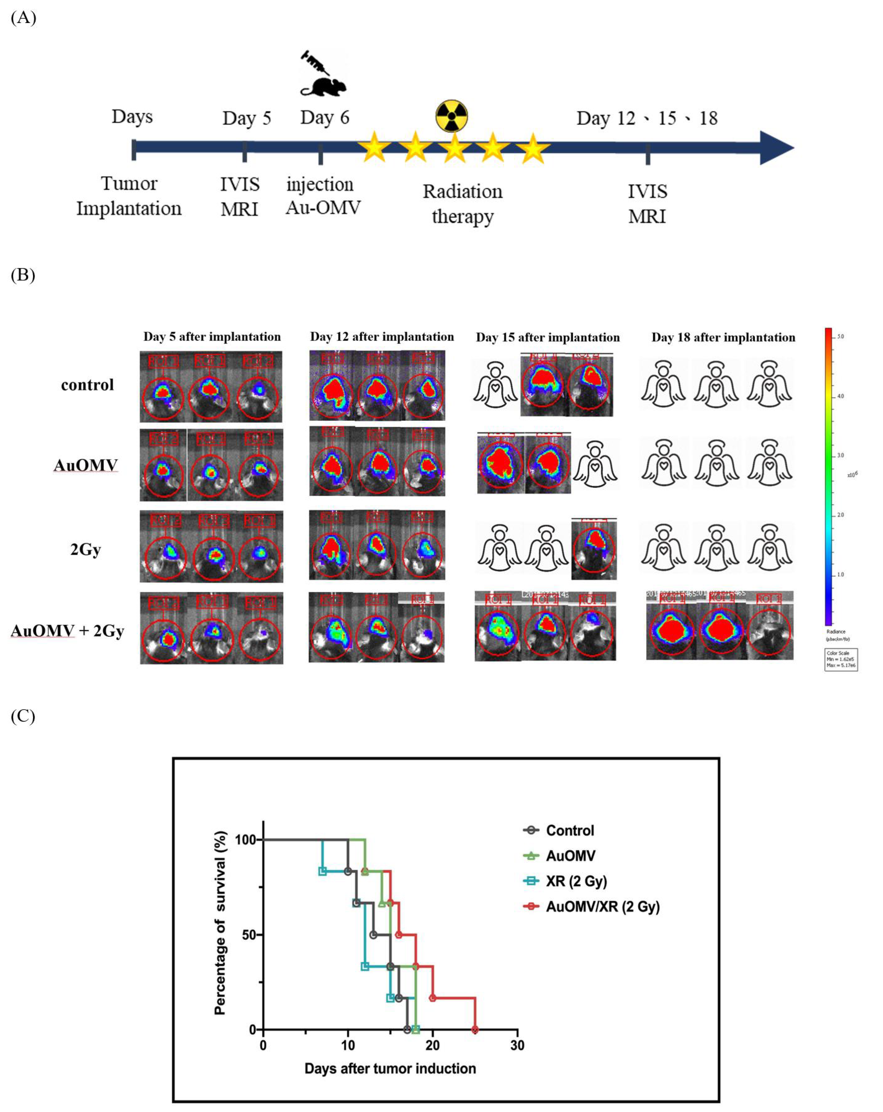 Nanomaterials 11 01661 g009
