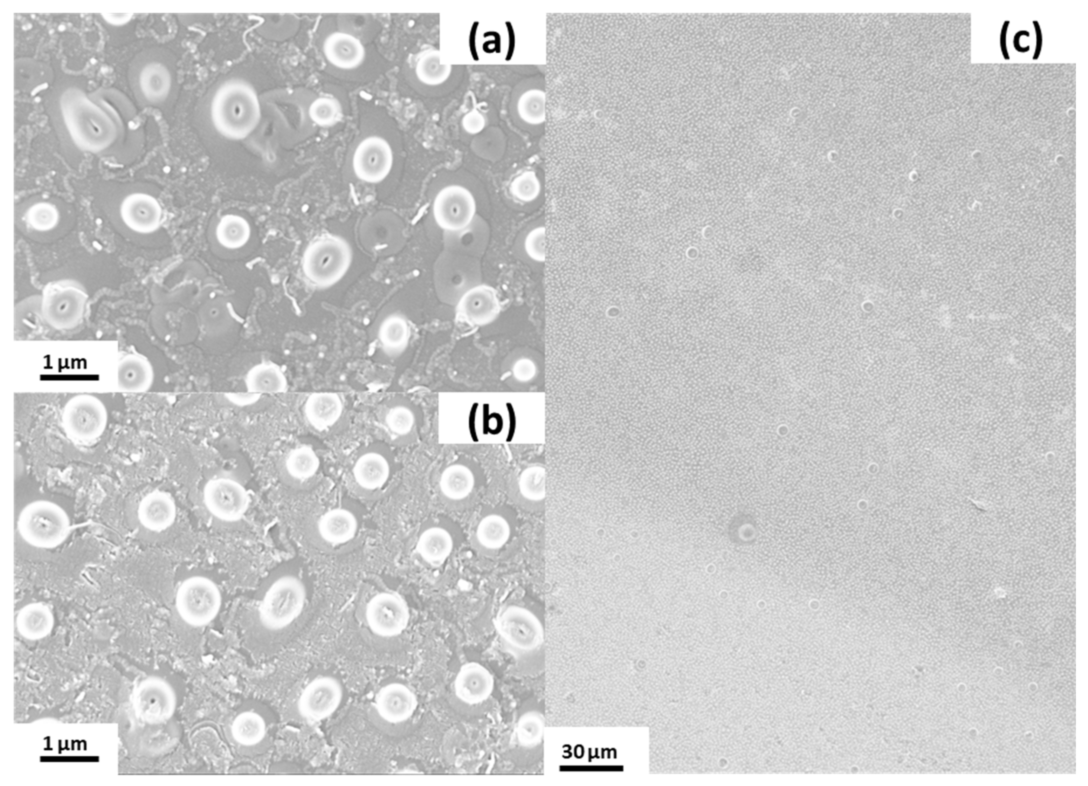 Nanomaterials 11 01663 g006