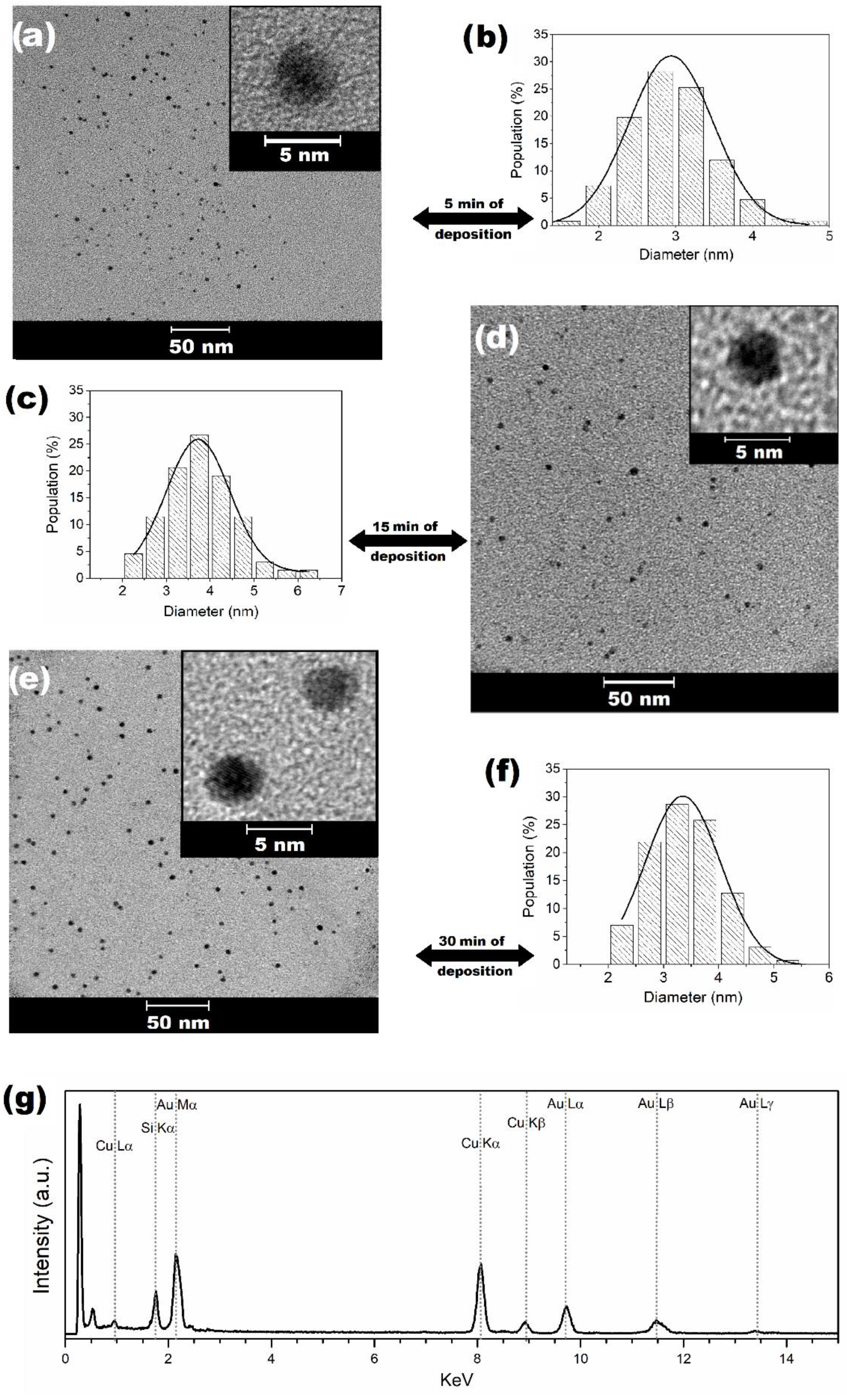 Nanomaterials 11 01668 g001