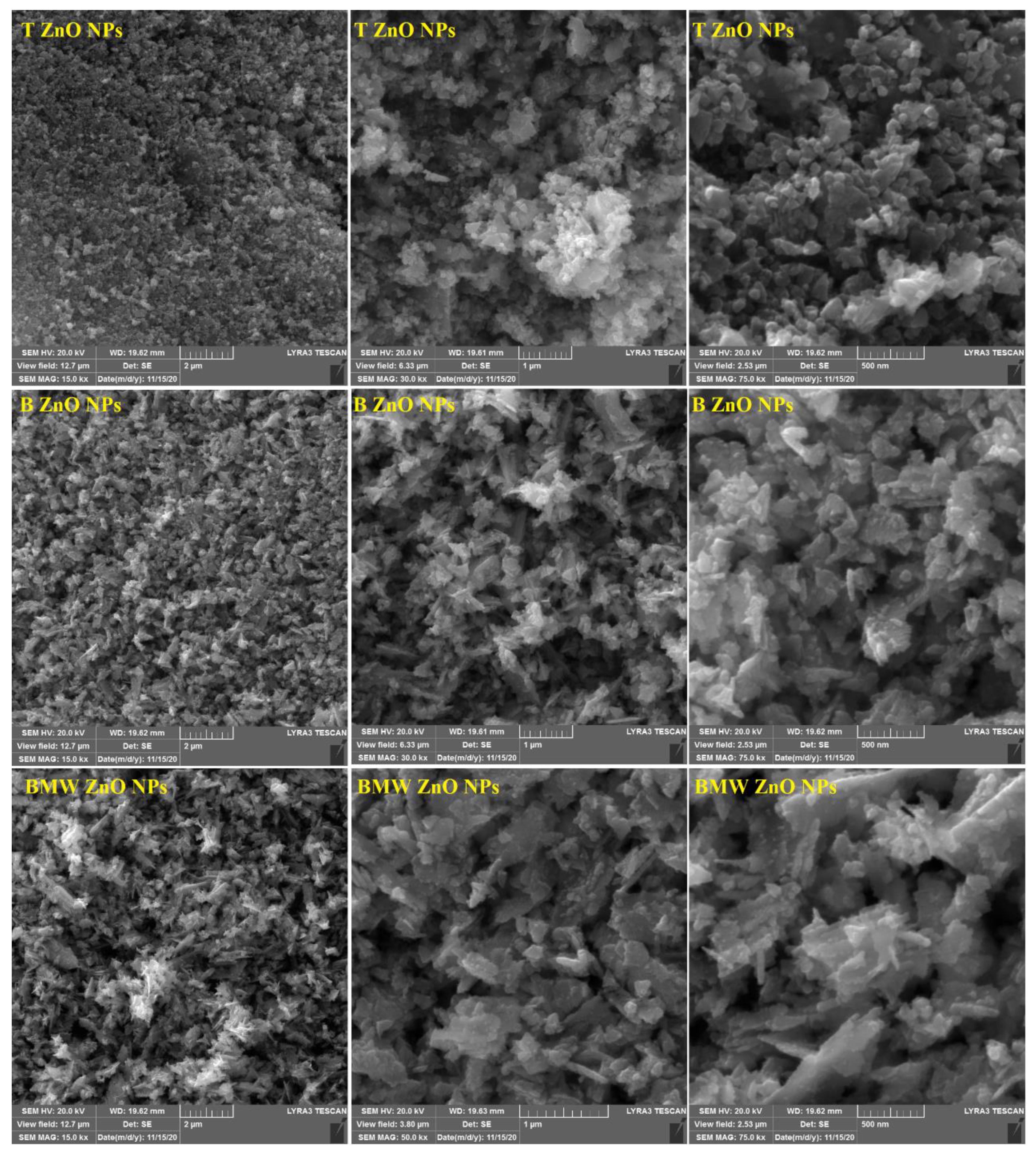 Nanomaterials 11 01682 g003 Nanomaterials 11 01682 g003