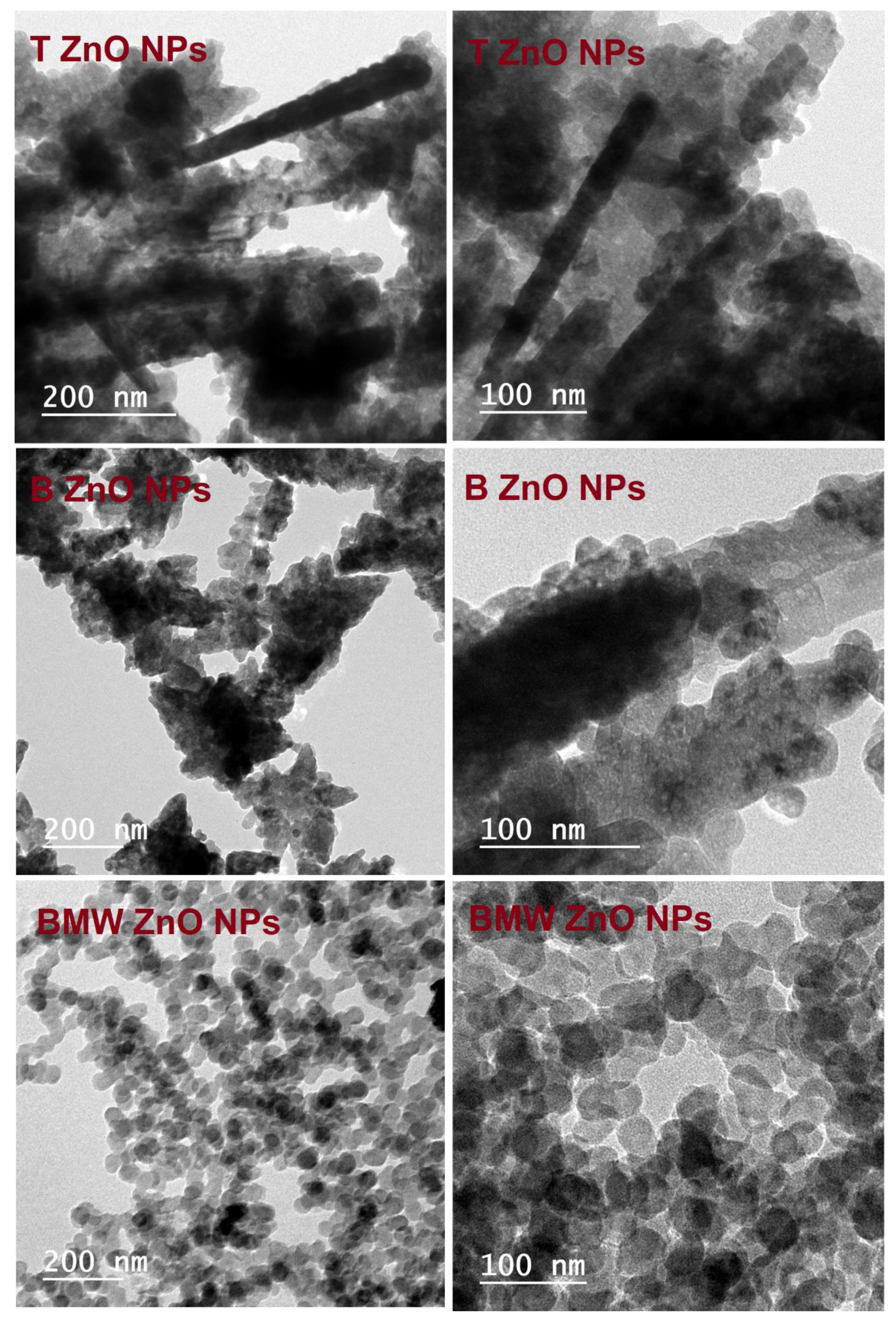 Nanomaterials 11 01682 g004 Nanomaterials 11 01682 g004