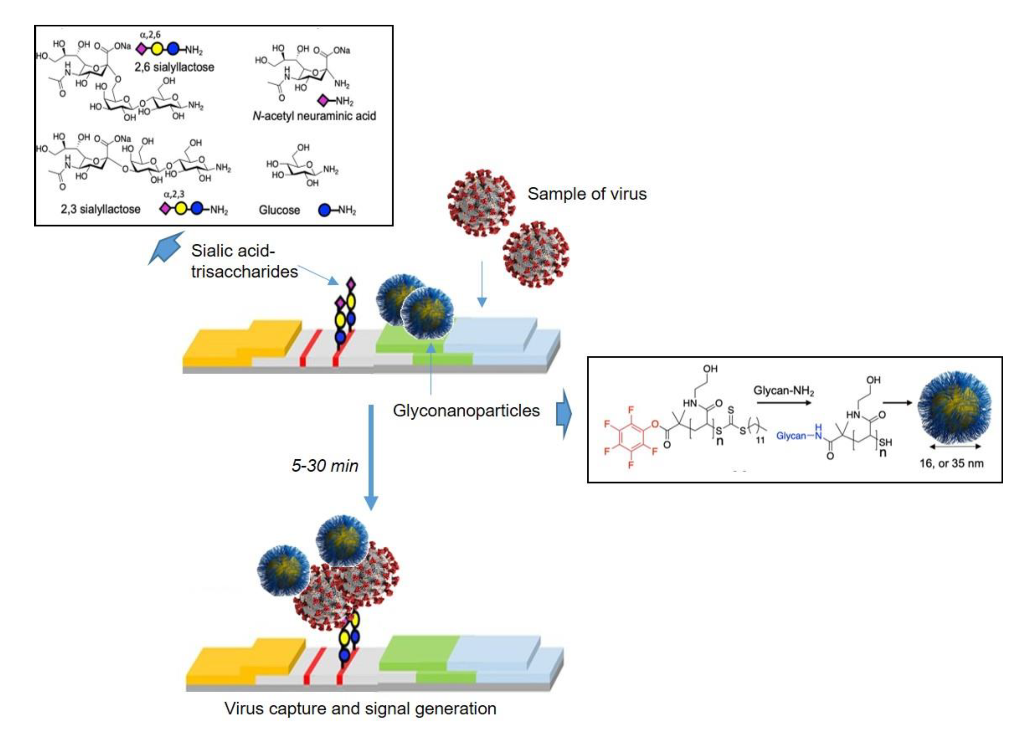 Nanomaterials 11 01684 g007