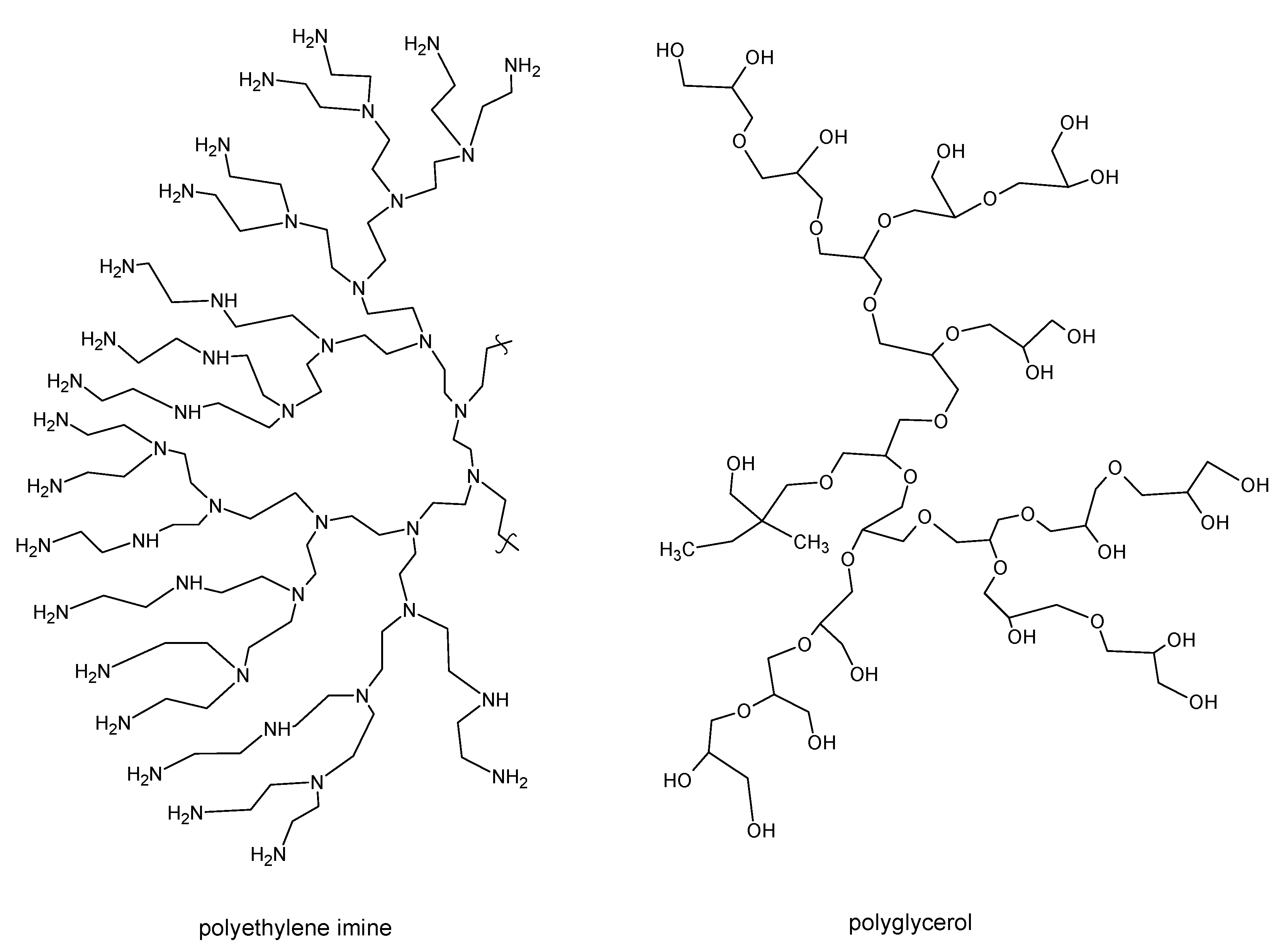 Nanomaterials 11 01686 g001