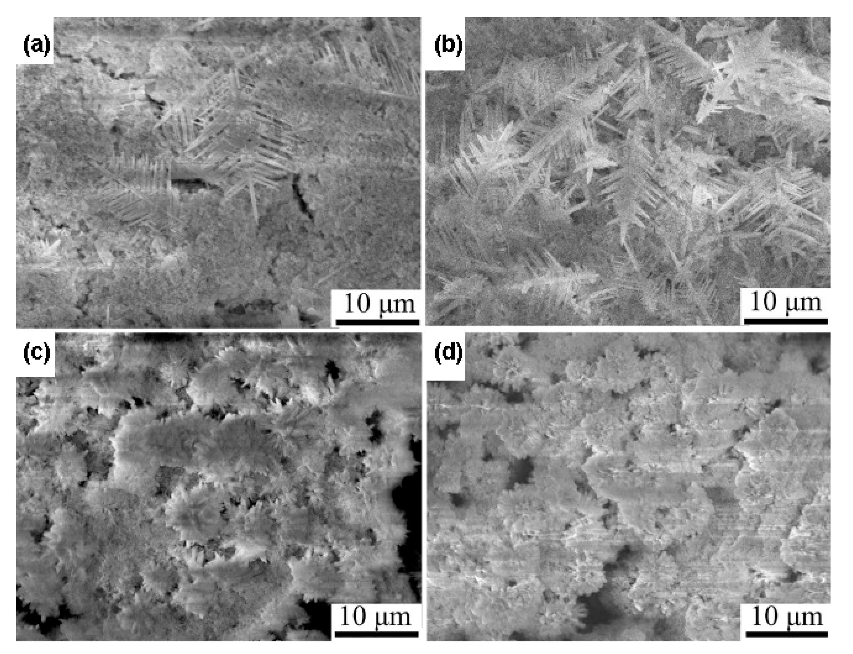 Nanomaterials 11 01686 g003