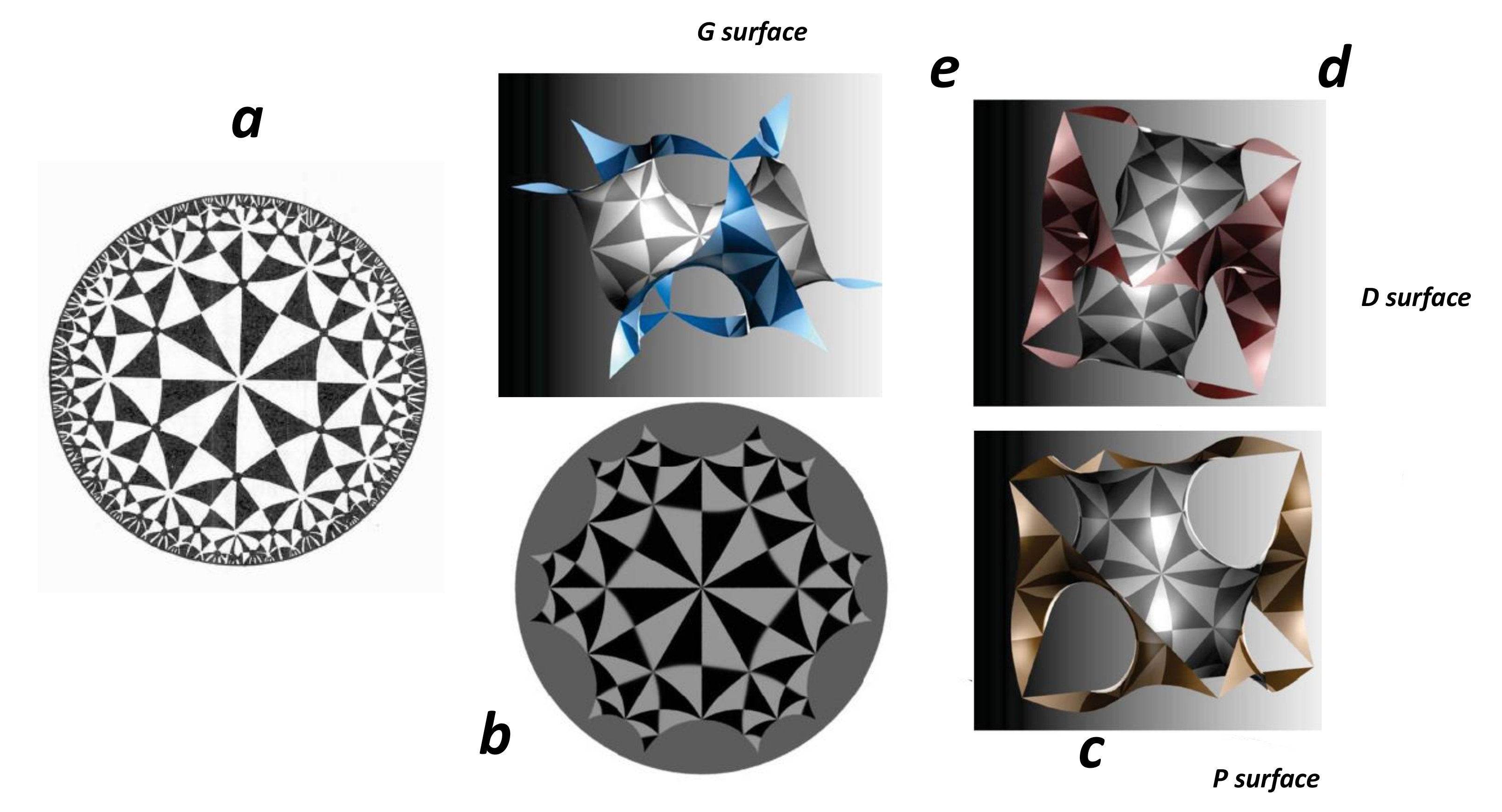 Nanomaterials 11 01694 g015
