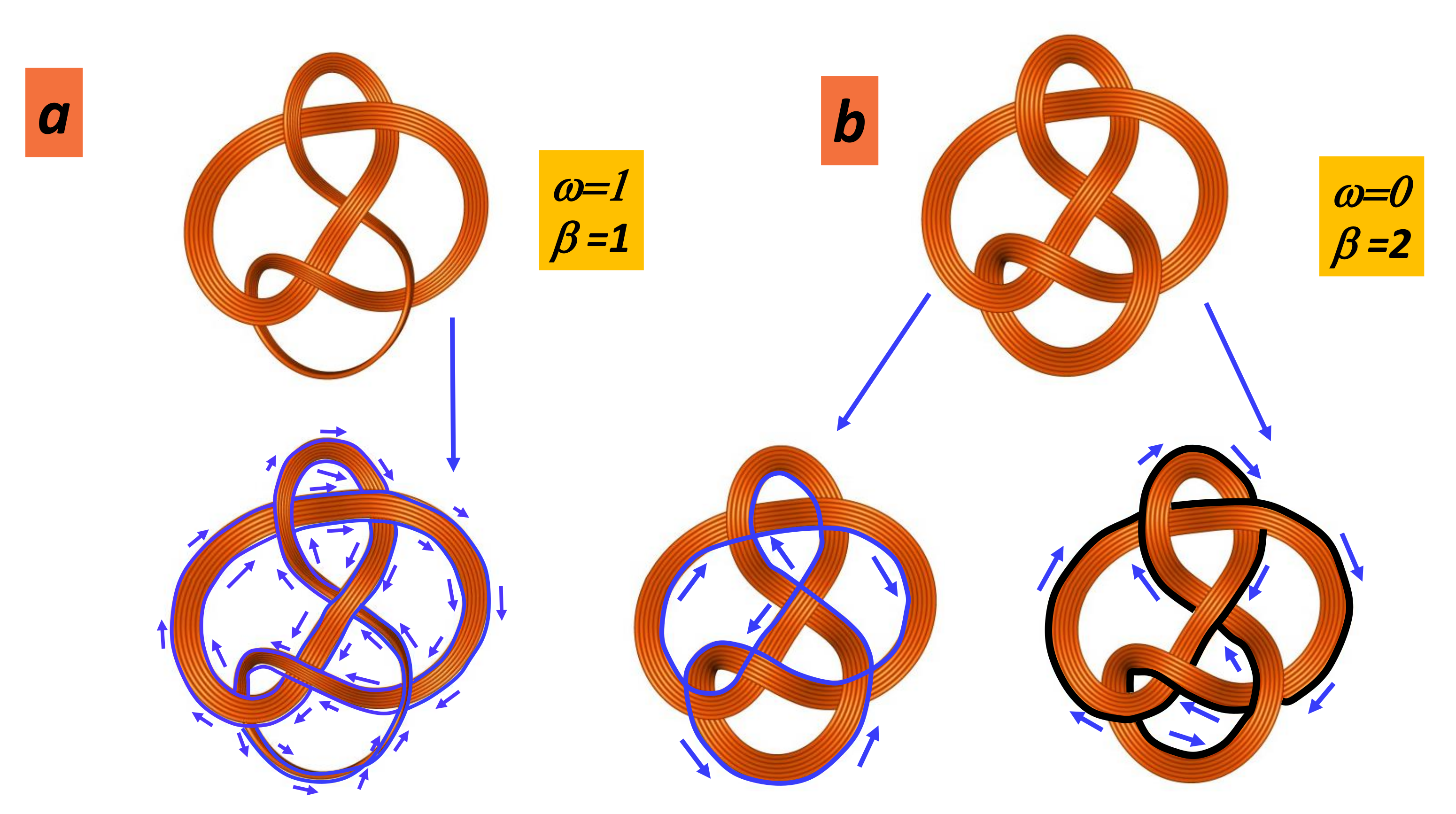 Nanomaterials 11 01694 g018