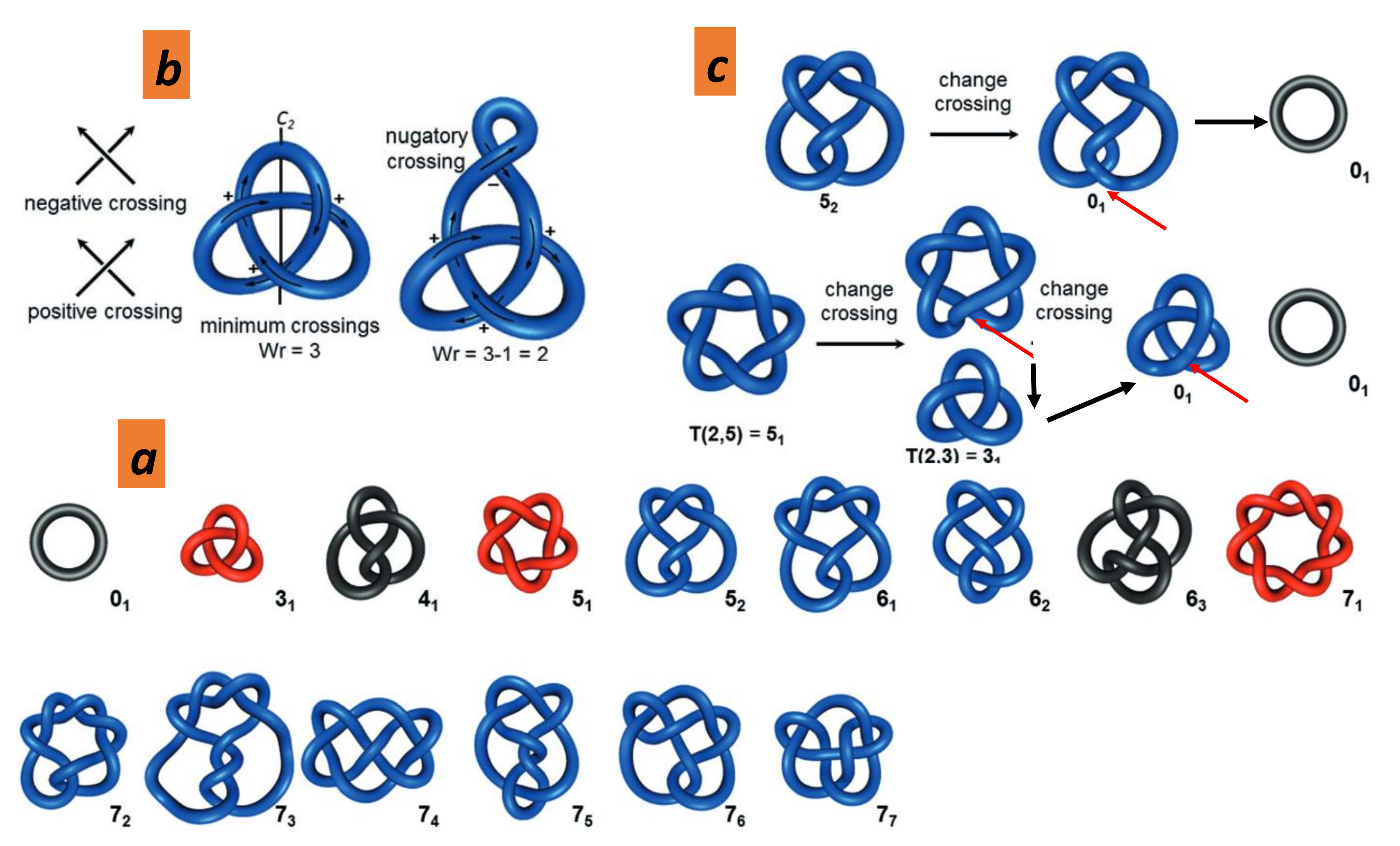 Nanomaterials 11 01694 g020