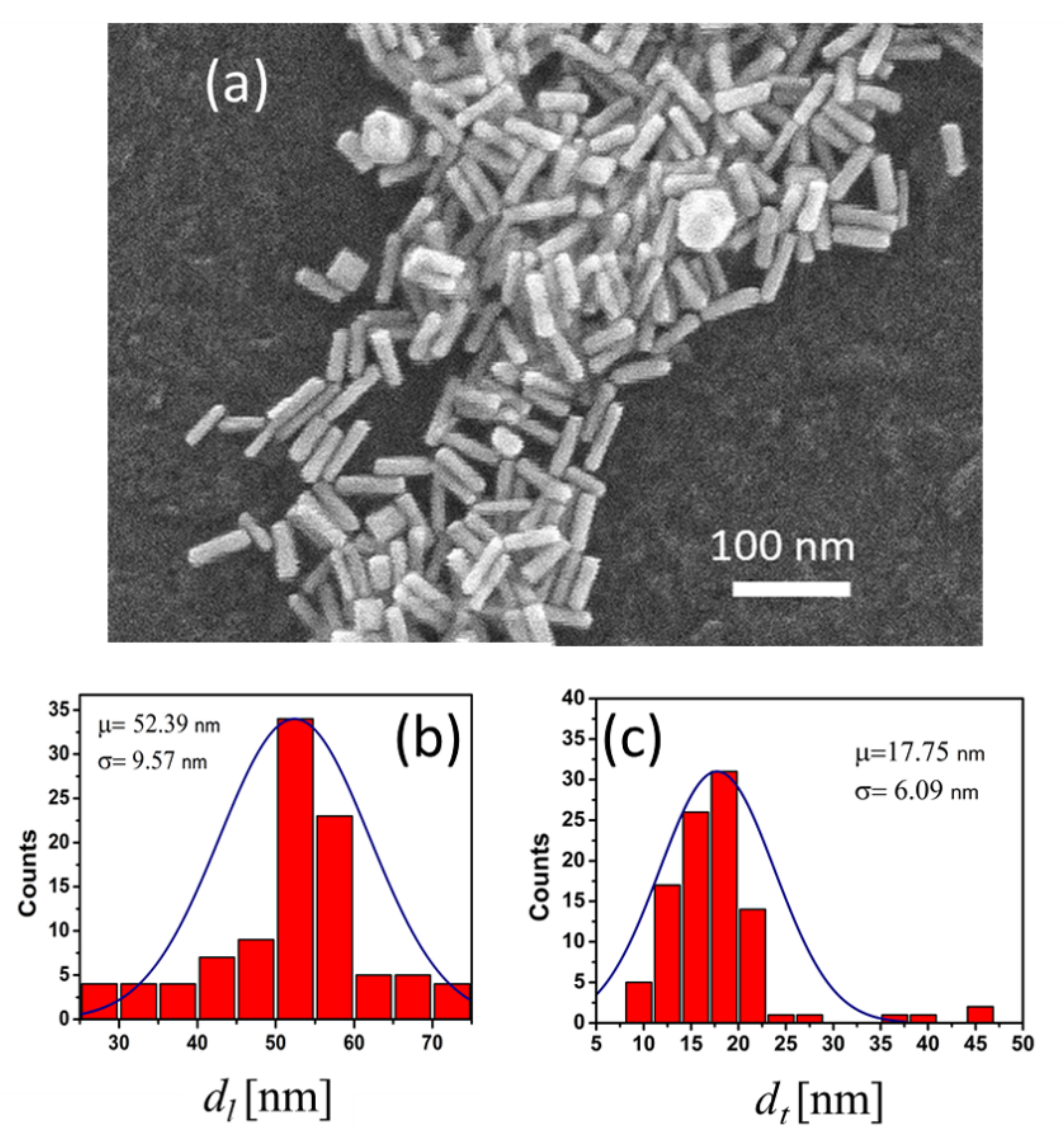 Nanomaterials 11 01696 g001