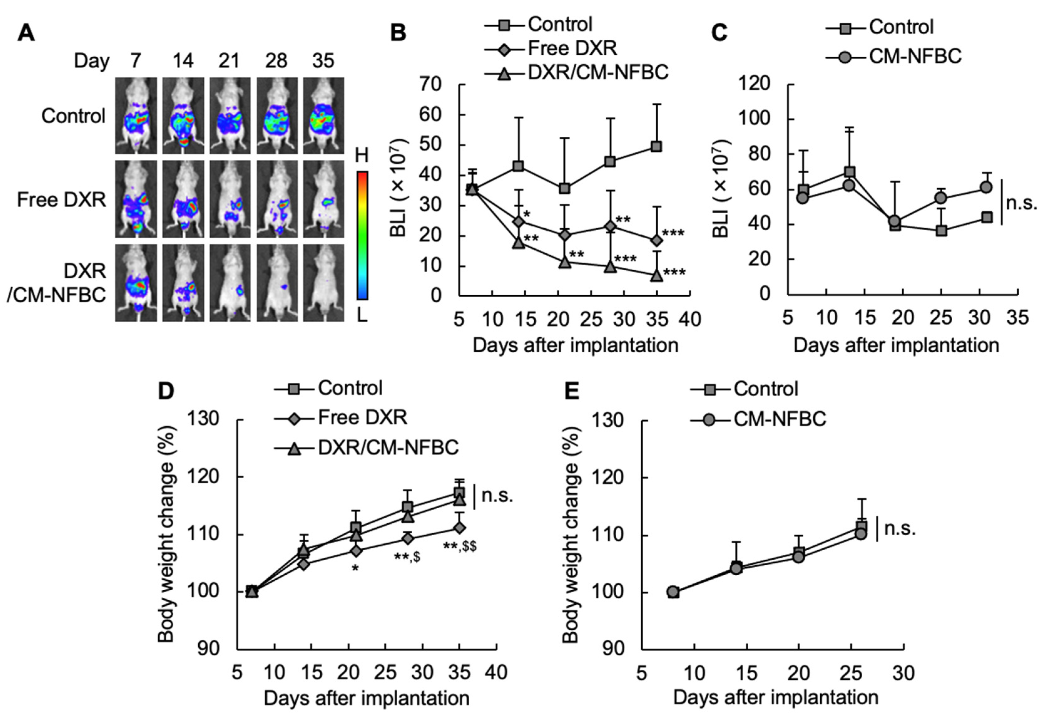 Nanomaterials 11 01697 g003