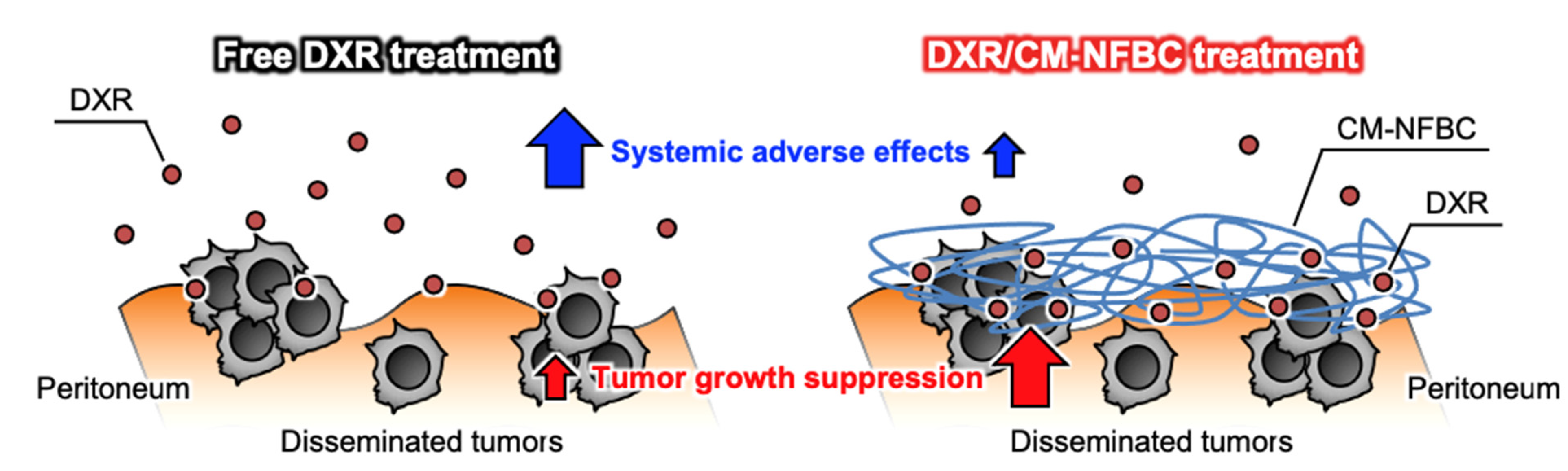 Nanomaterials 11 01697 g004