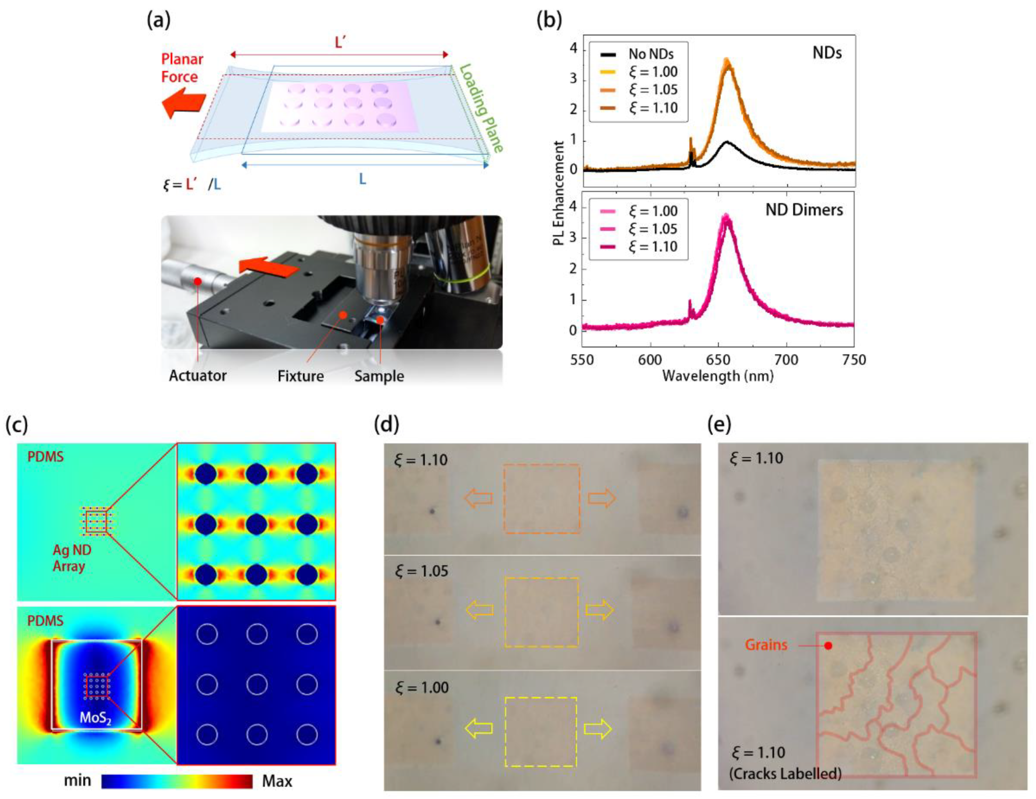 Nanomaterials 11 01698 g005