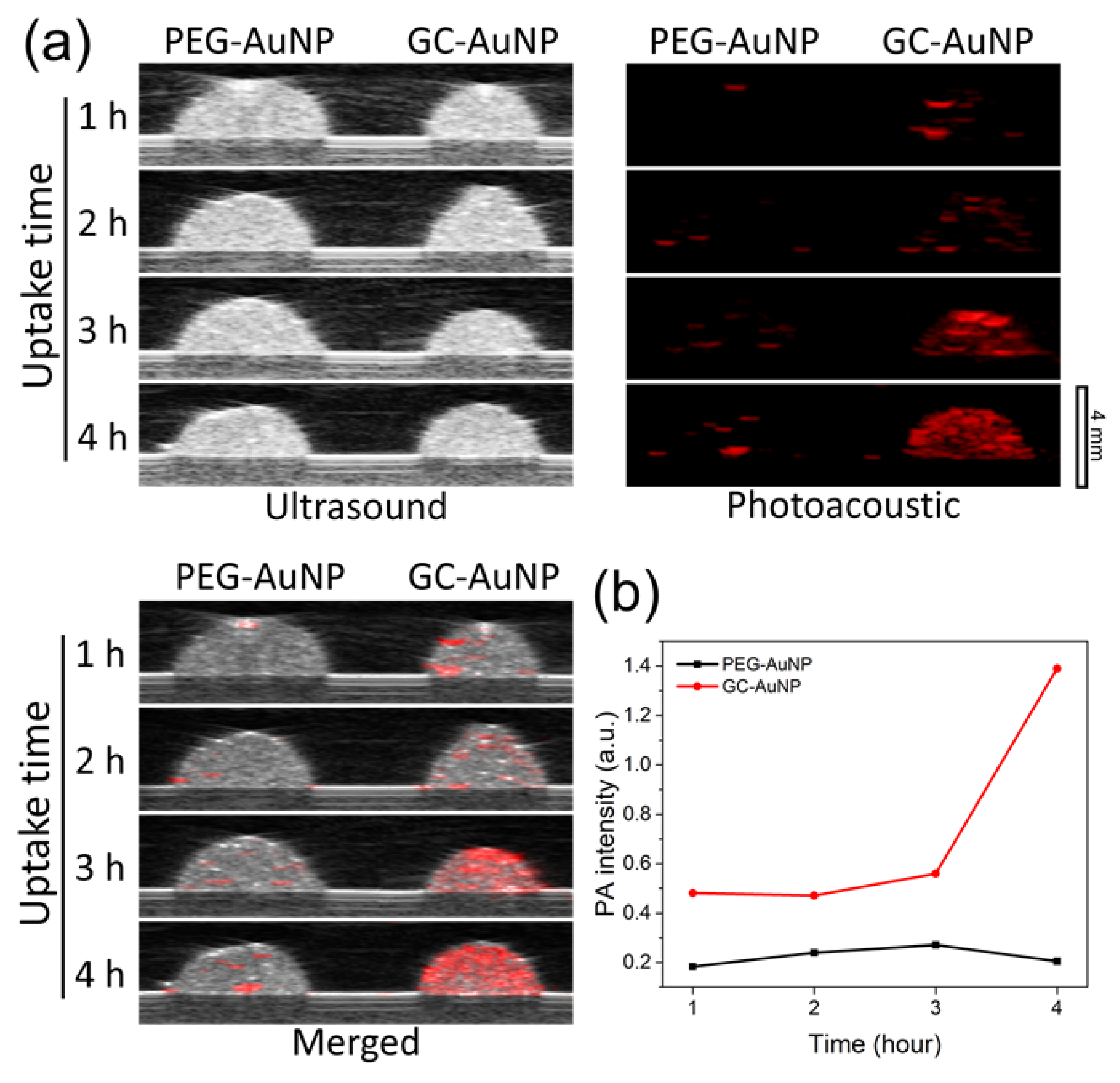 Nanomaterials 11 01700 g003