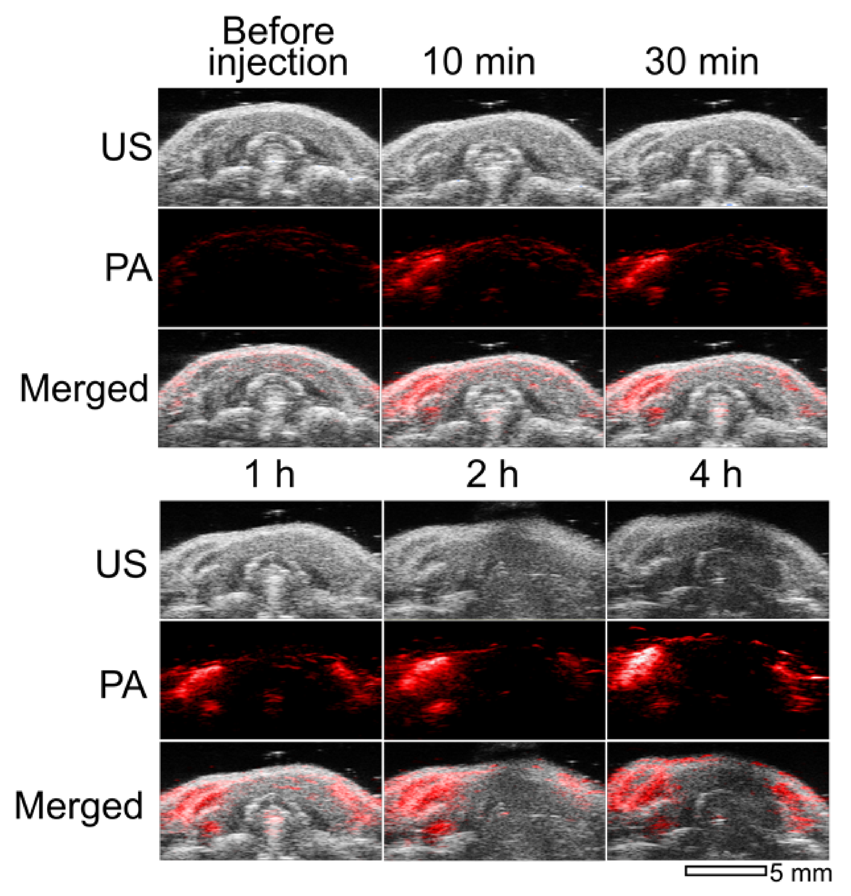 Nanomaterials 11 01700 g004
