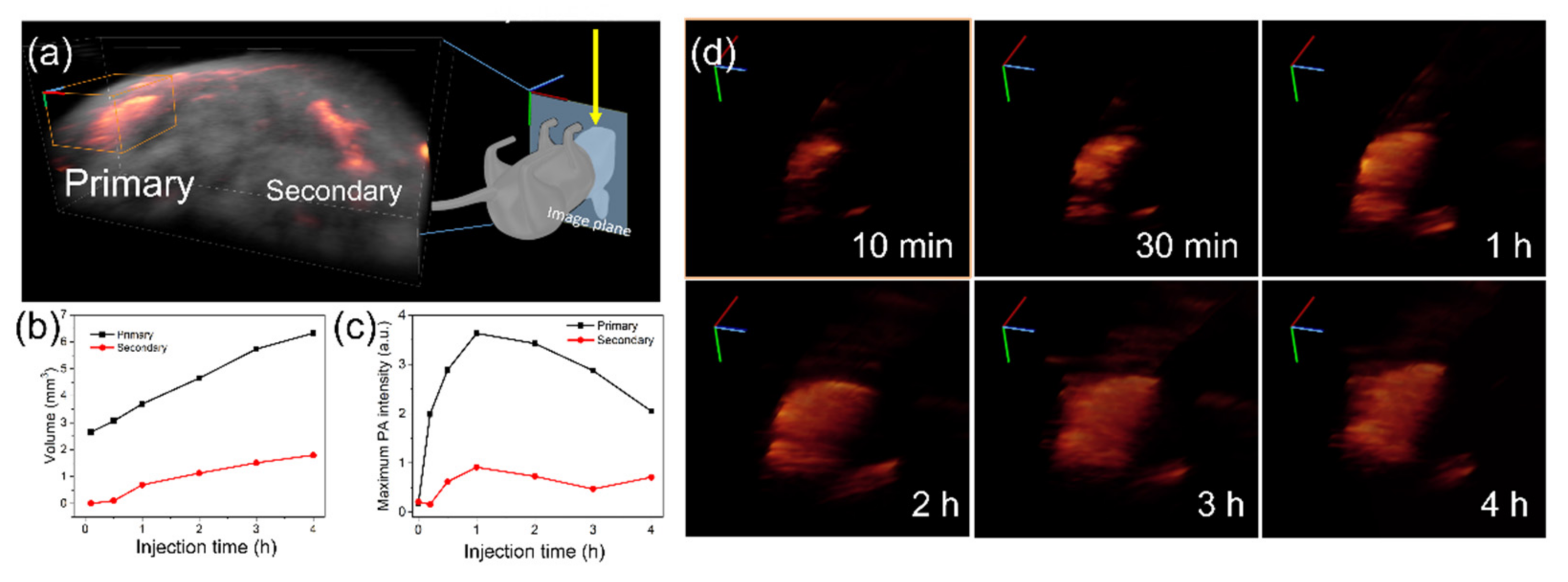 Nanomaterials 11 01700 g005
