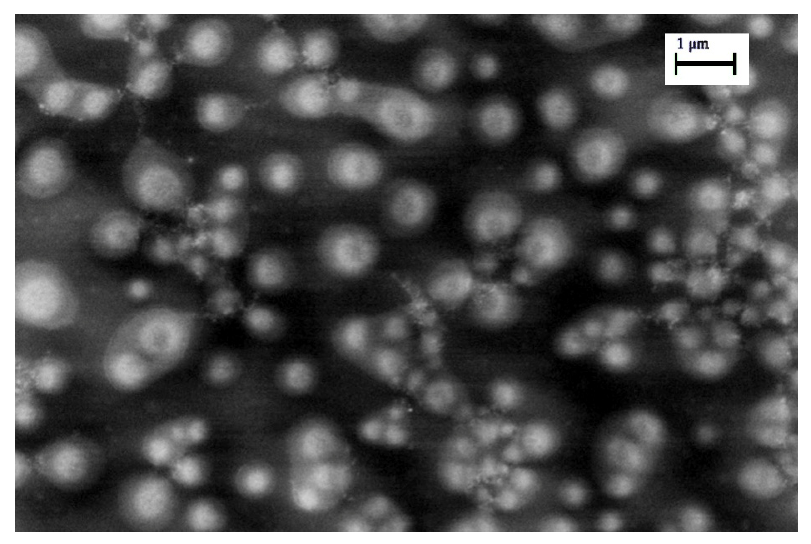 Nanomaterials 11 01733 g011