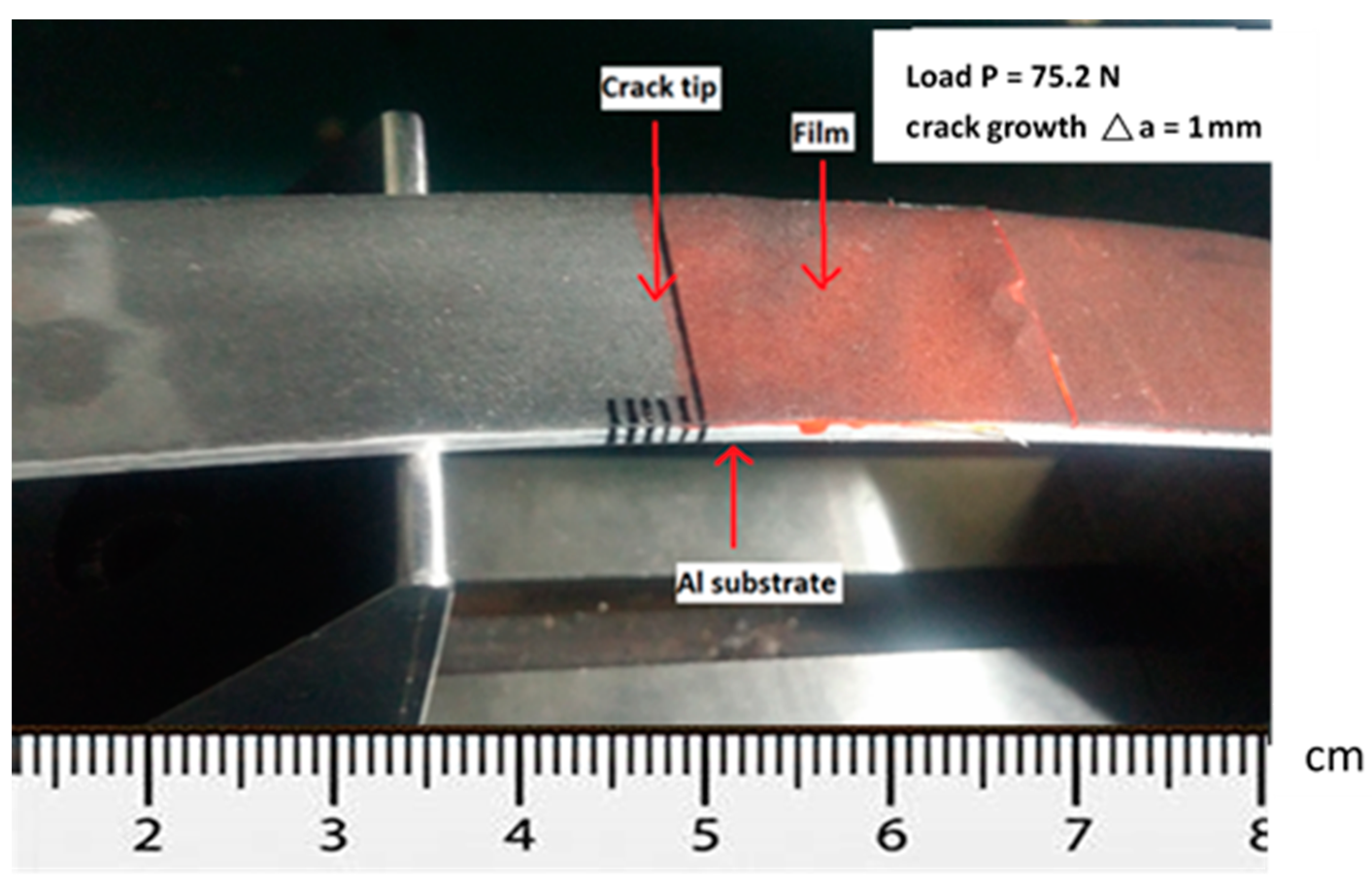 Nanomaterials 11 01743 g012