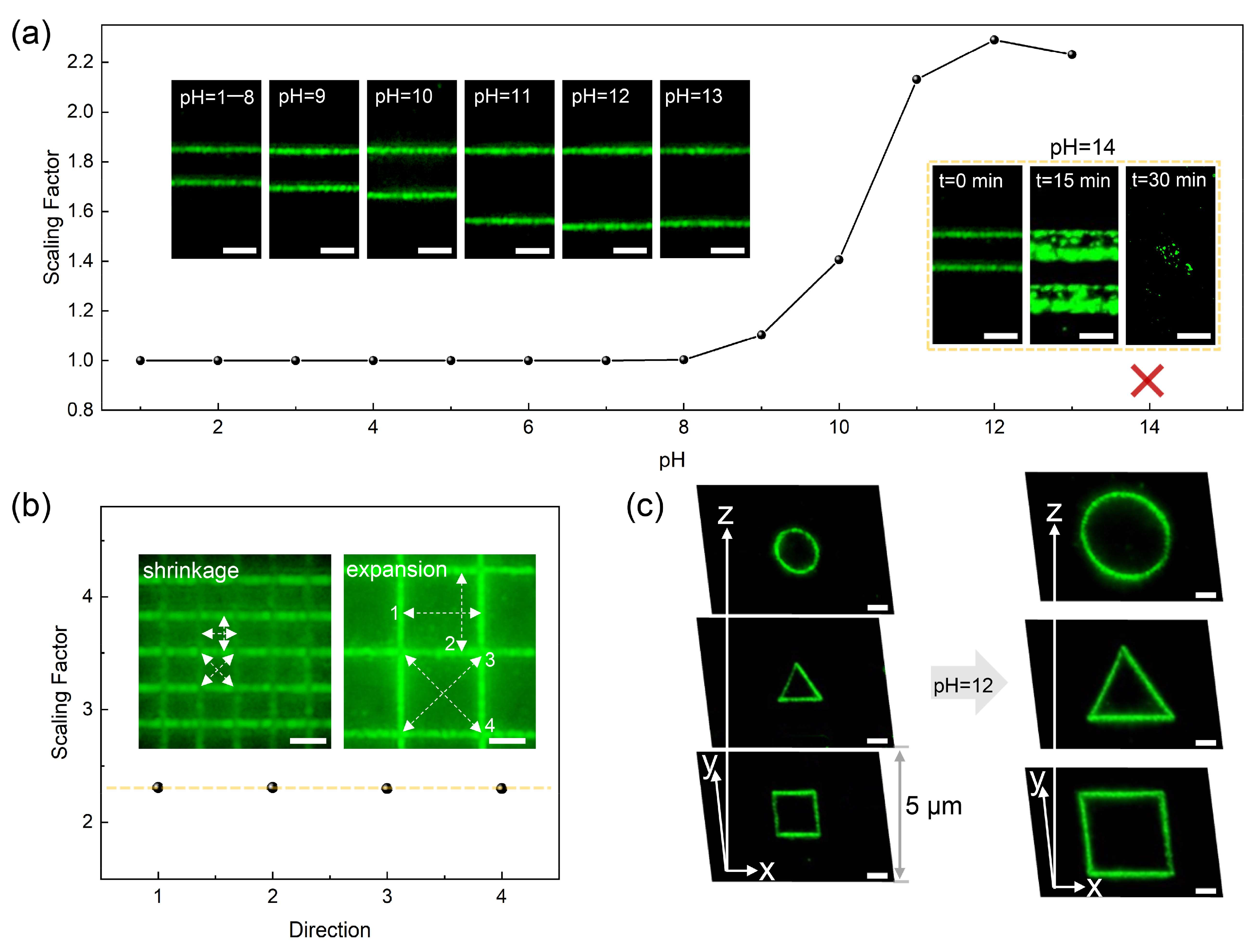 Nanomaterials 11 01744 g002