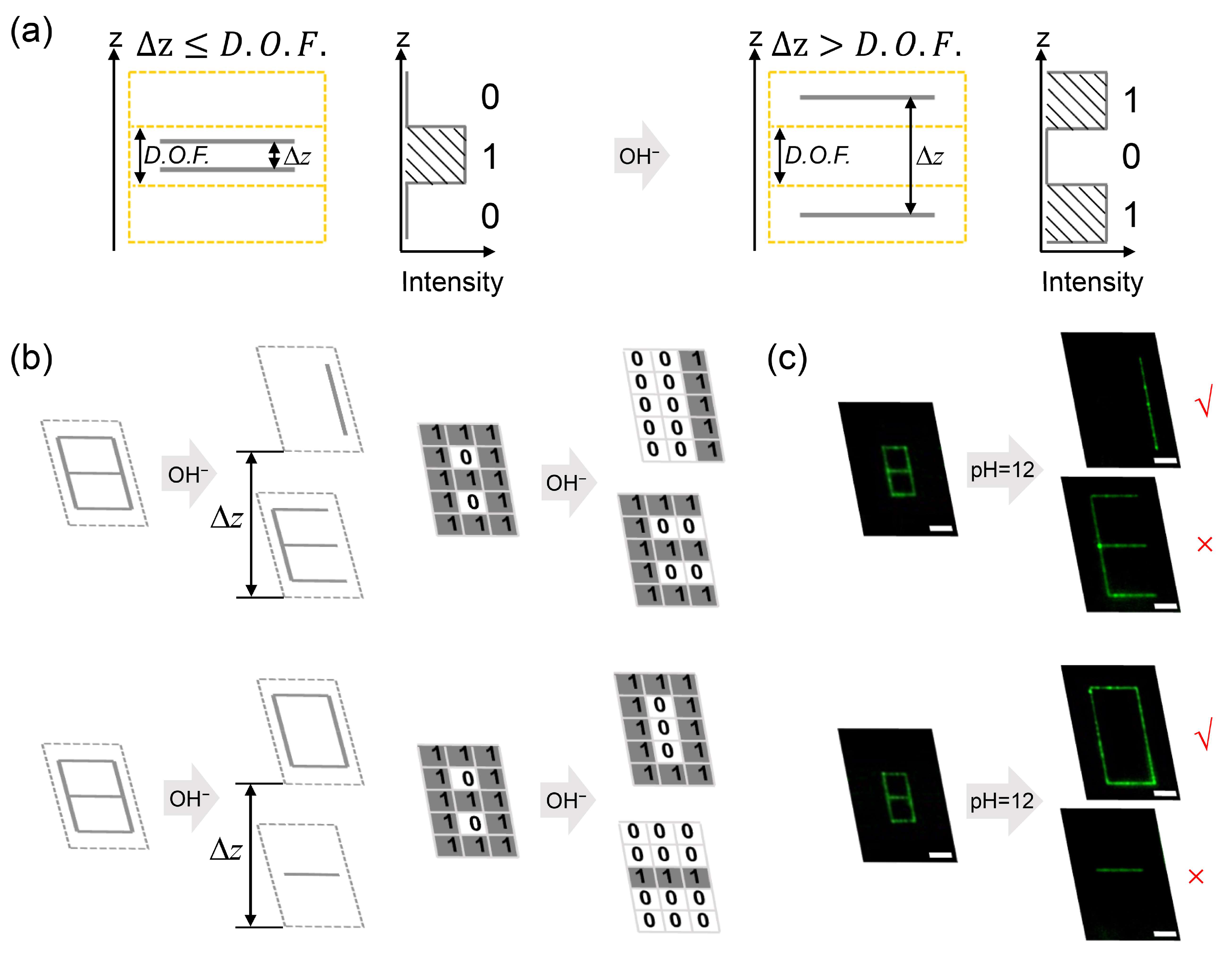 Nanomaterials 11 01744 g003