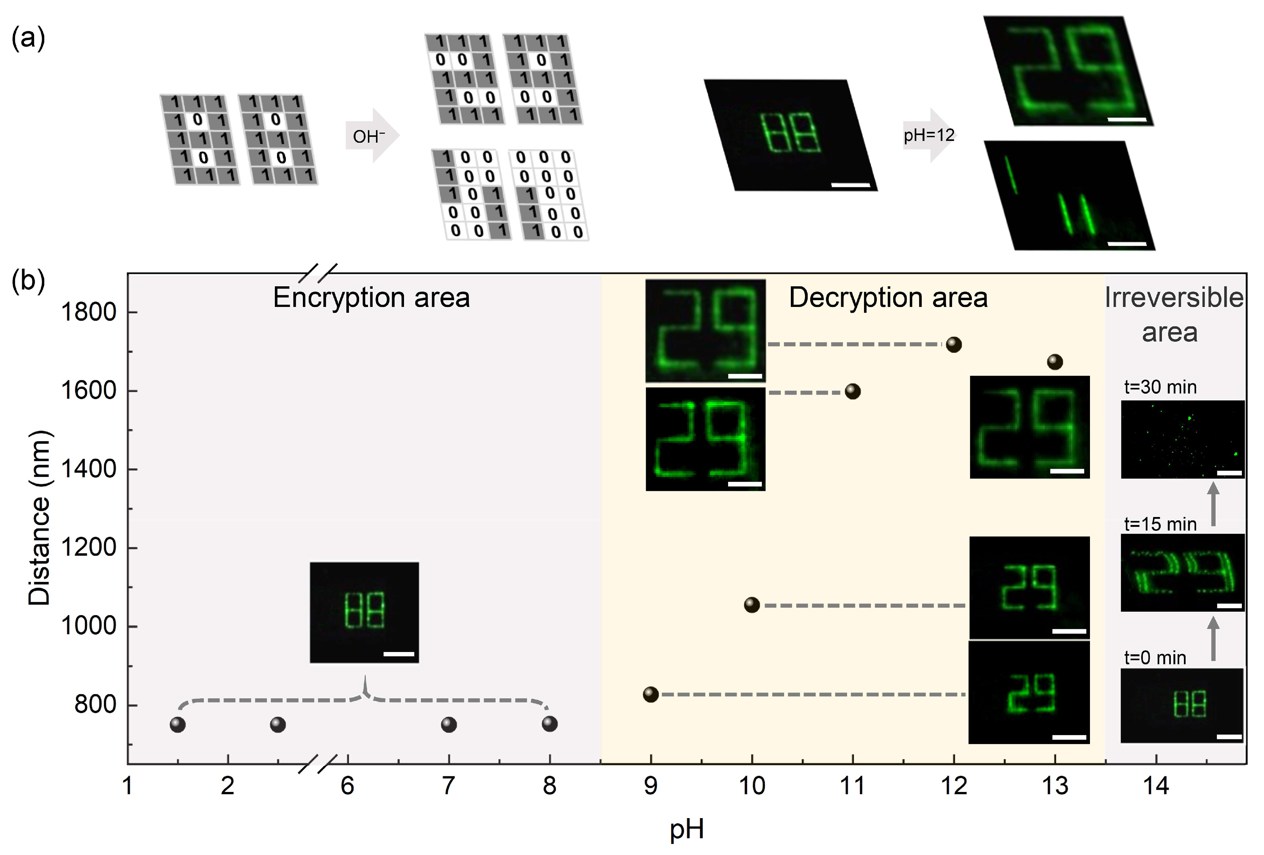 Nanomaterials 11 01744 g004