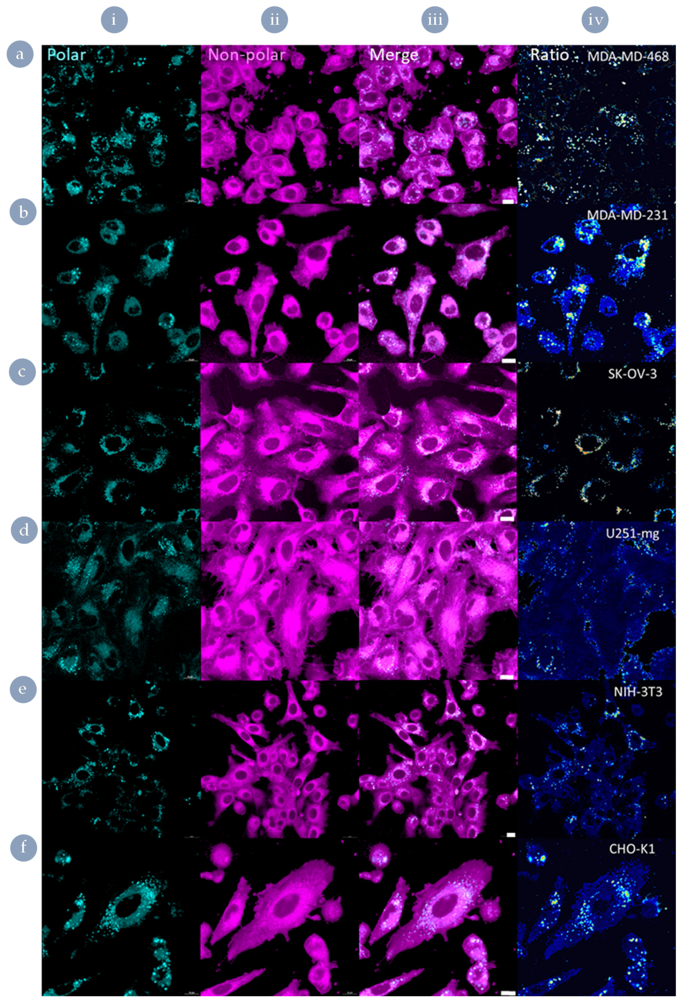 Nanomaterials 11 01745 g007