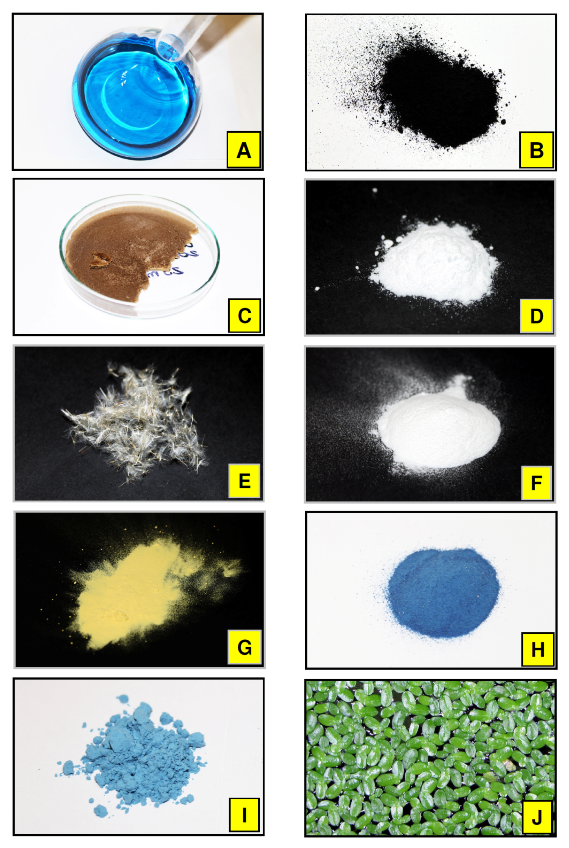 Nanomaterials 11 01747 g003