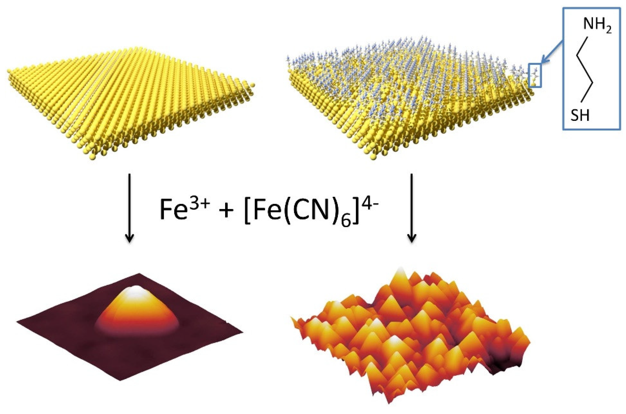 Nanomaterials 11 01749 g001