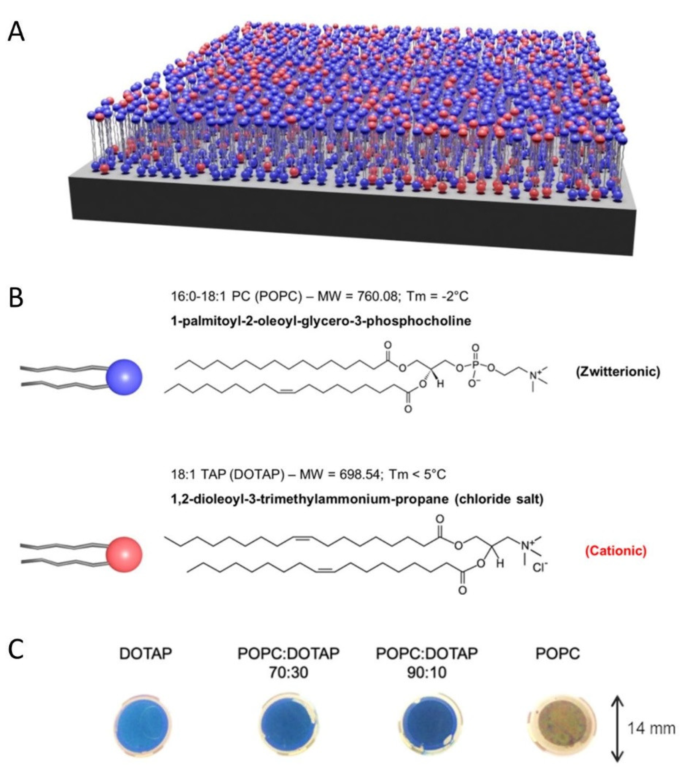 Nanomaterials 11 01749 g005