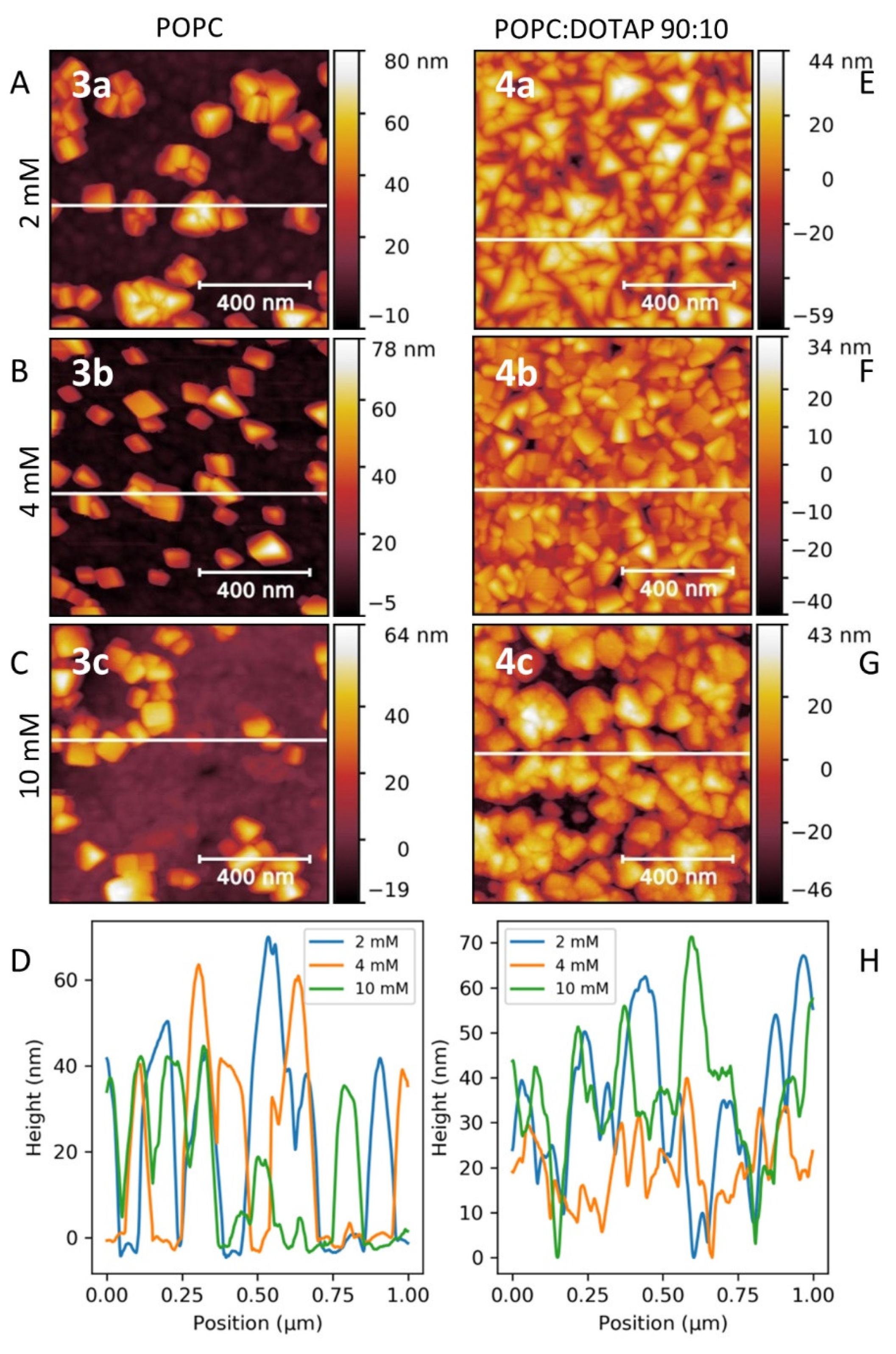 Nanomaterials 11 01749 g007