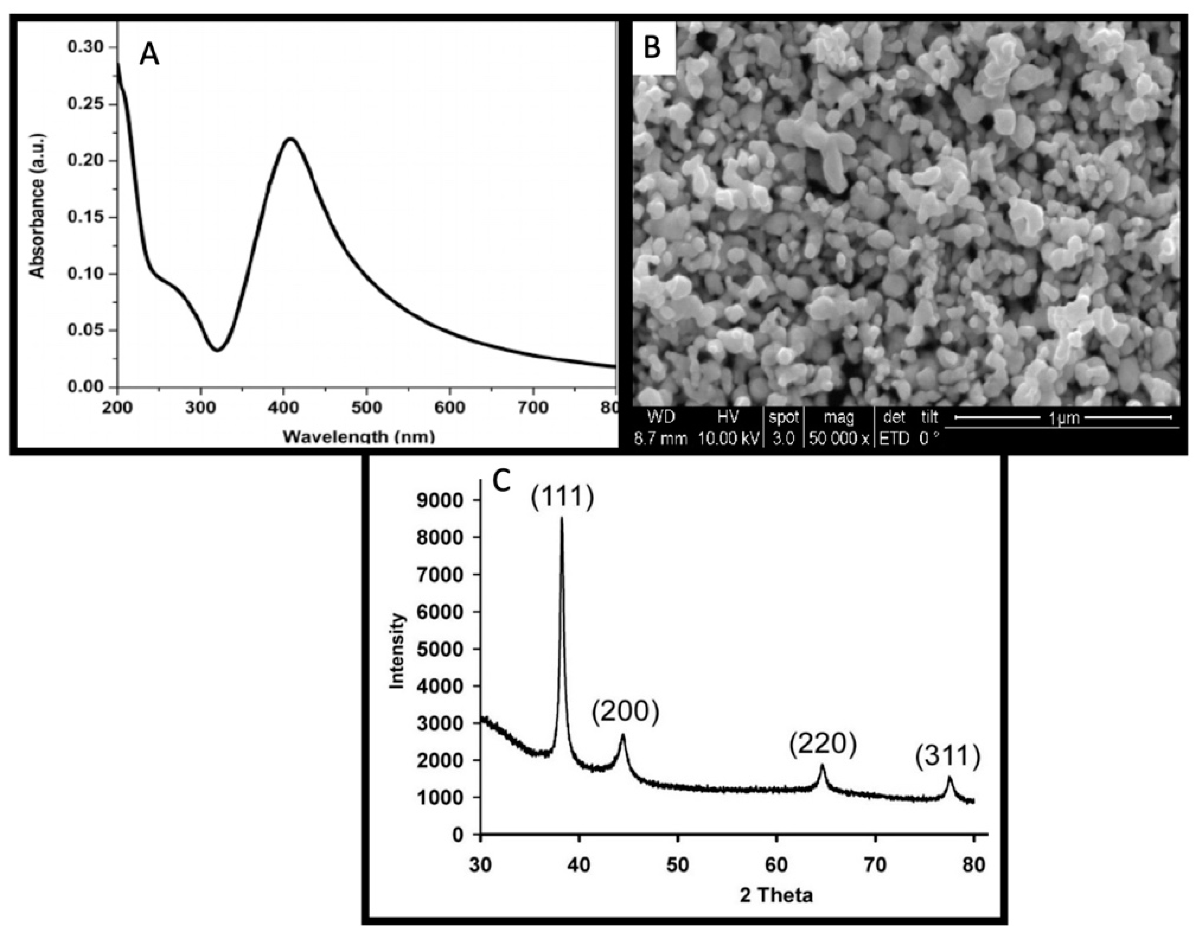 Nanomaterials 11 01750 g001
