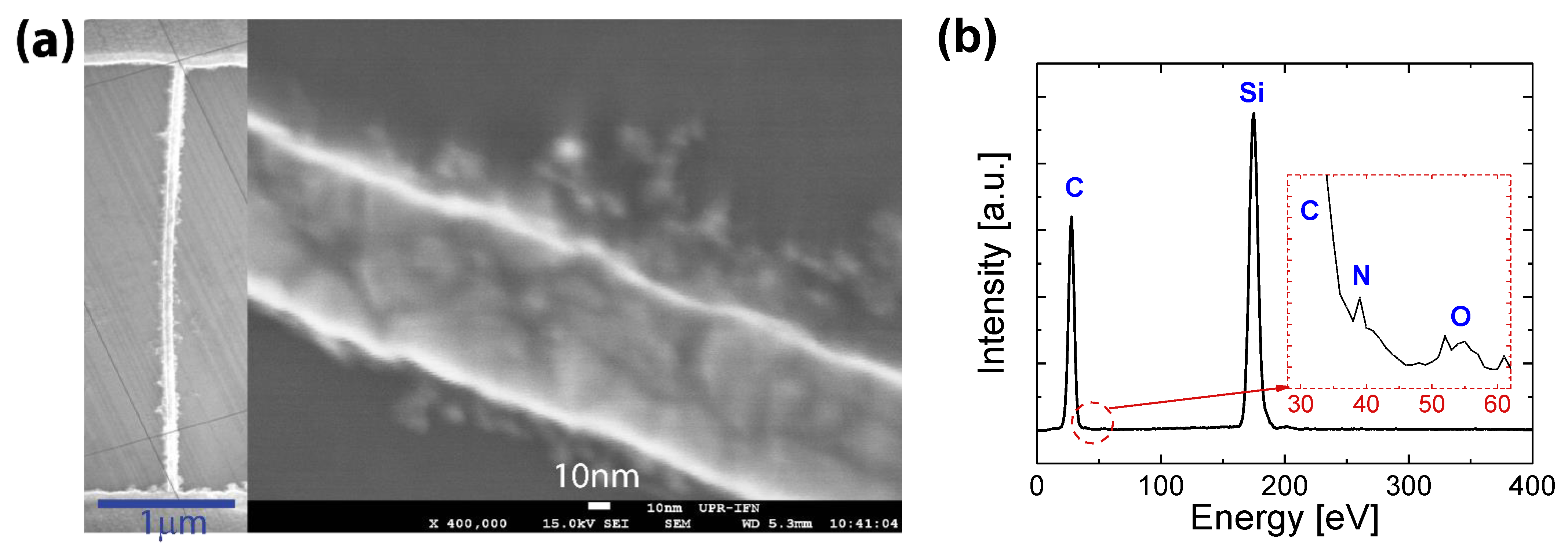Nanomaterials 11 01765 g001