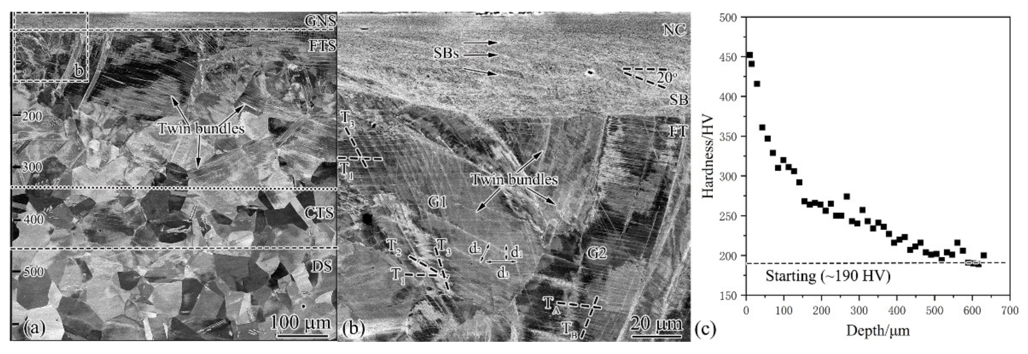 Nanomaterials 11 01769 g003