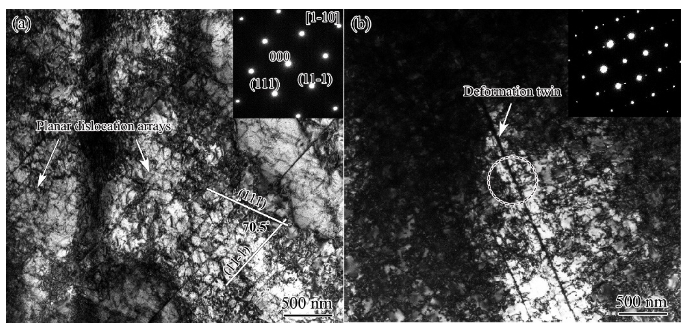 Nanomaterials 11 01769 g005