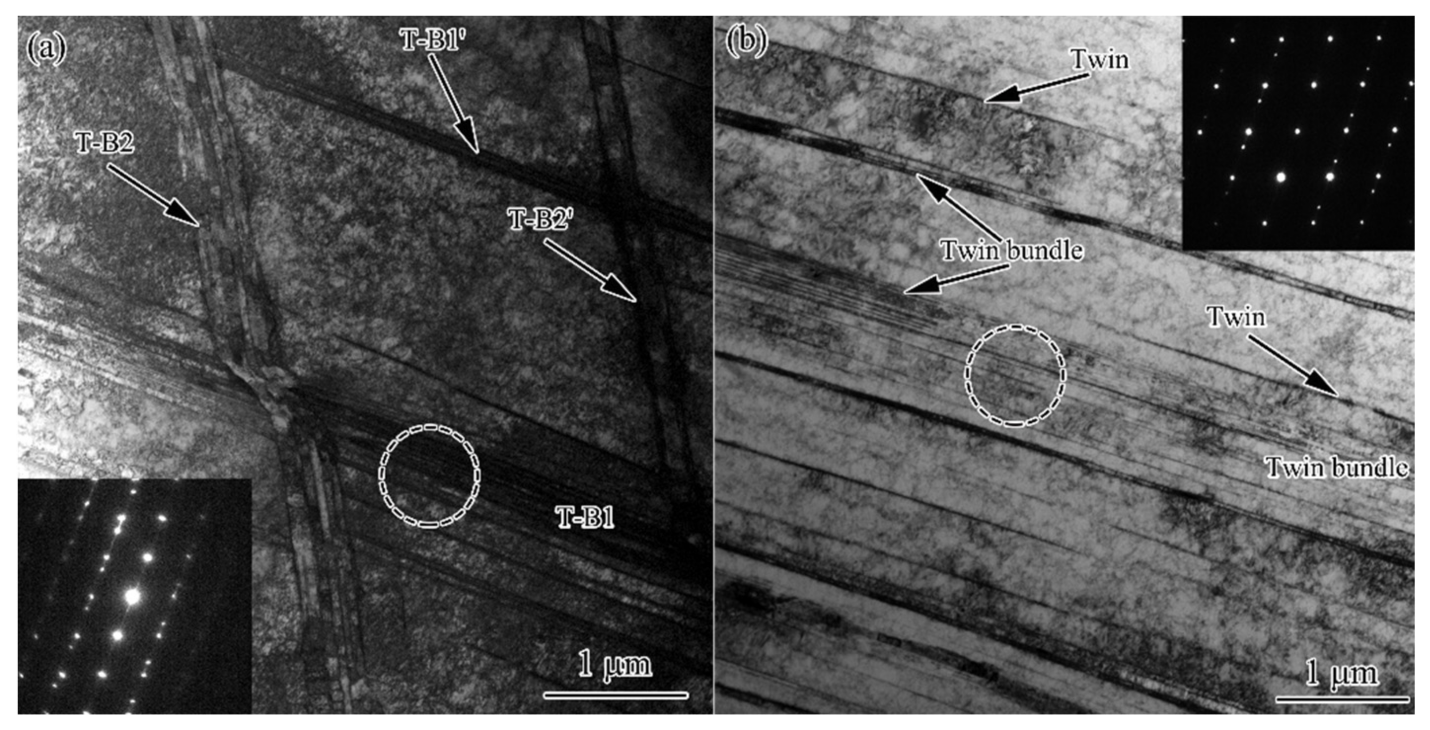 Nanomaterials 11 01769 g007