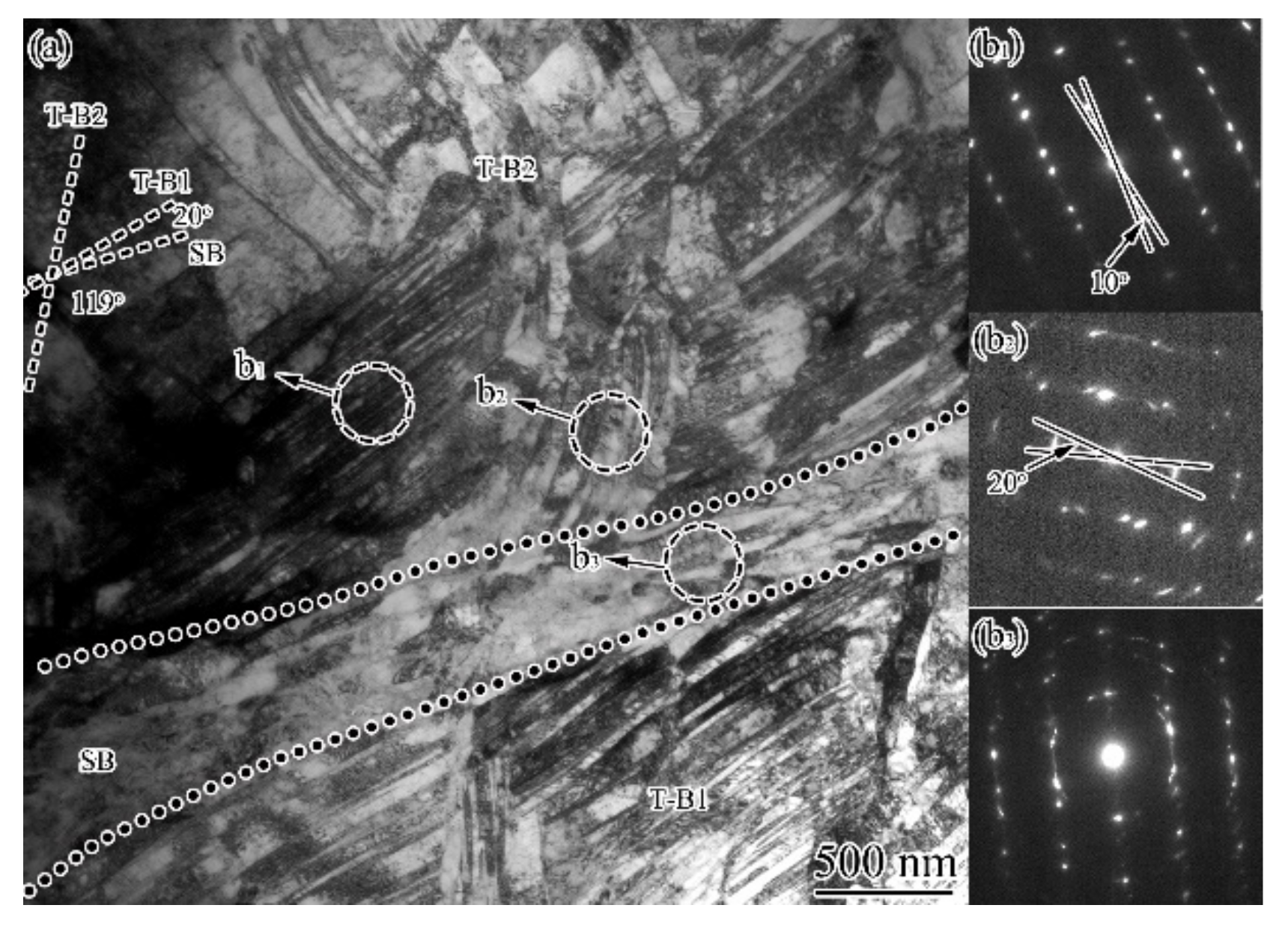 Nanomaterials 11 01769 g008