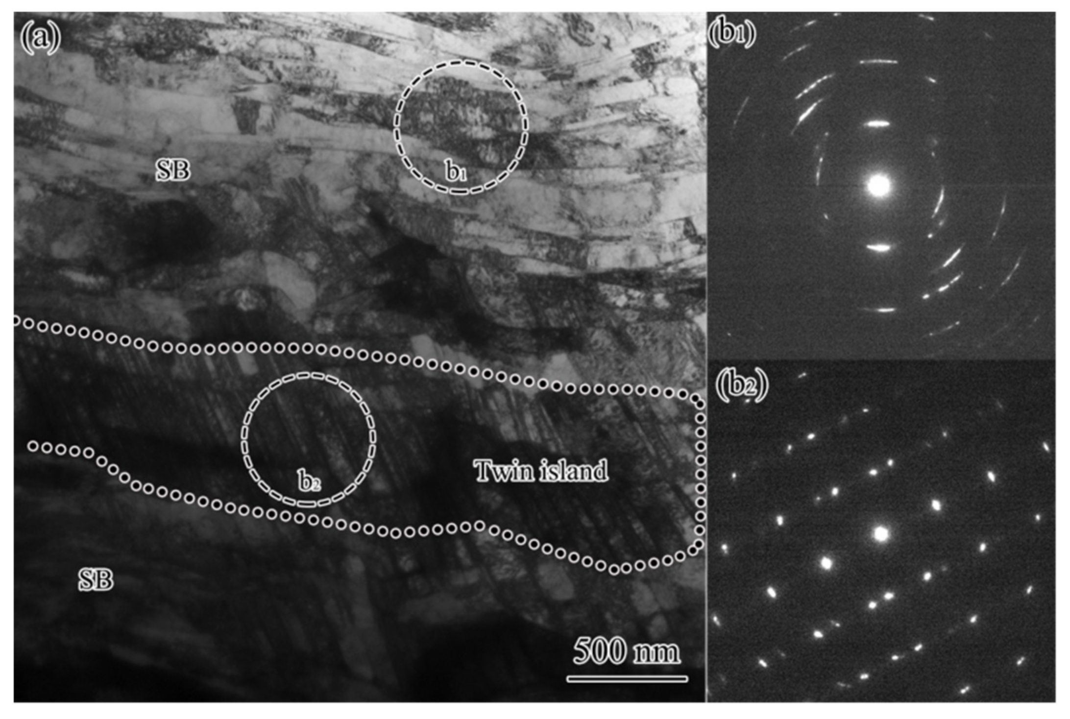 Nanomaterials 11 01769 g009