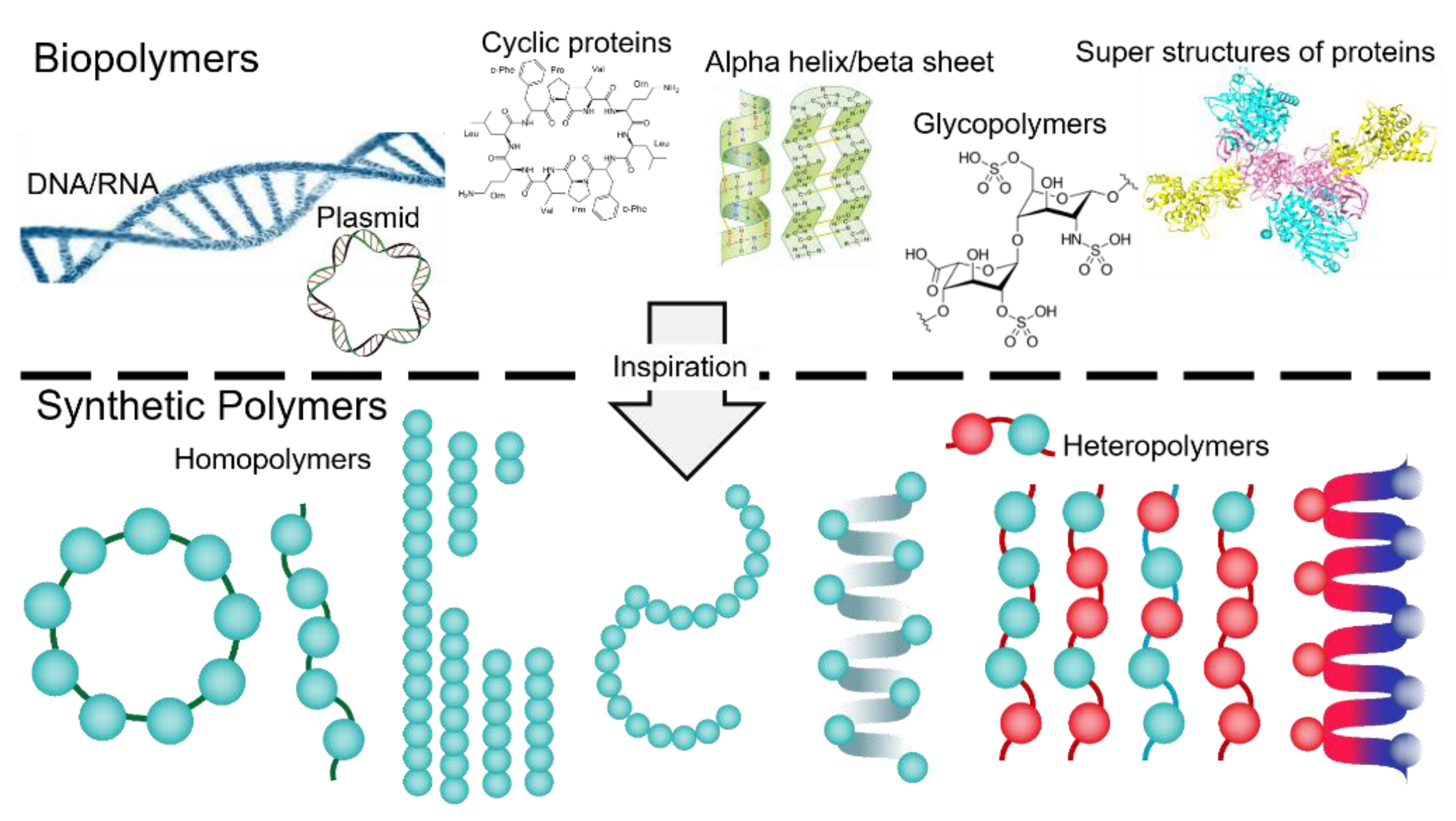 Nanomaterials 11 01771 g001
