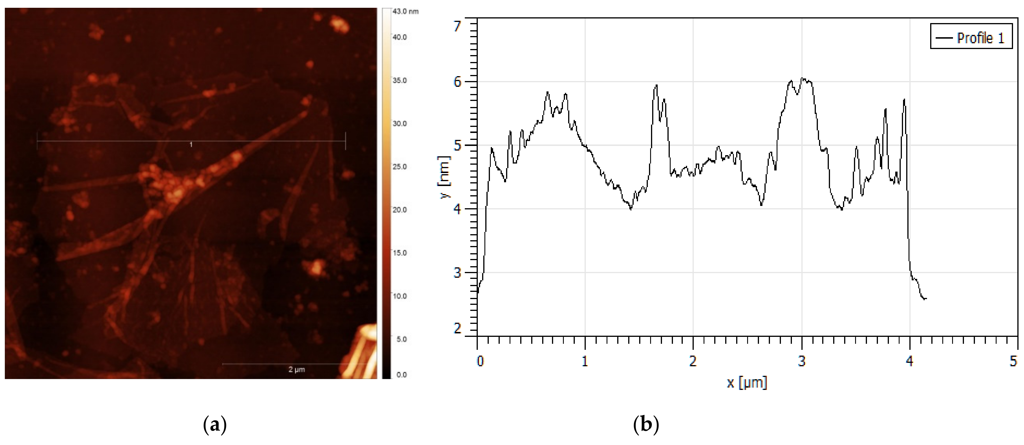 Nanomaterials 11 01779 g010