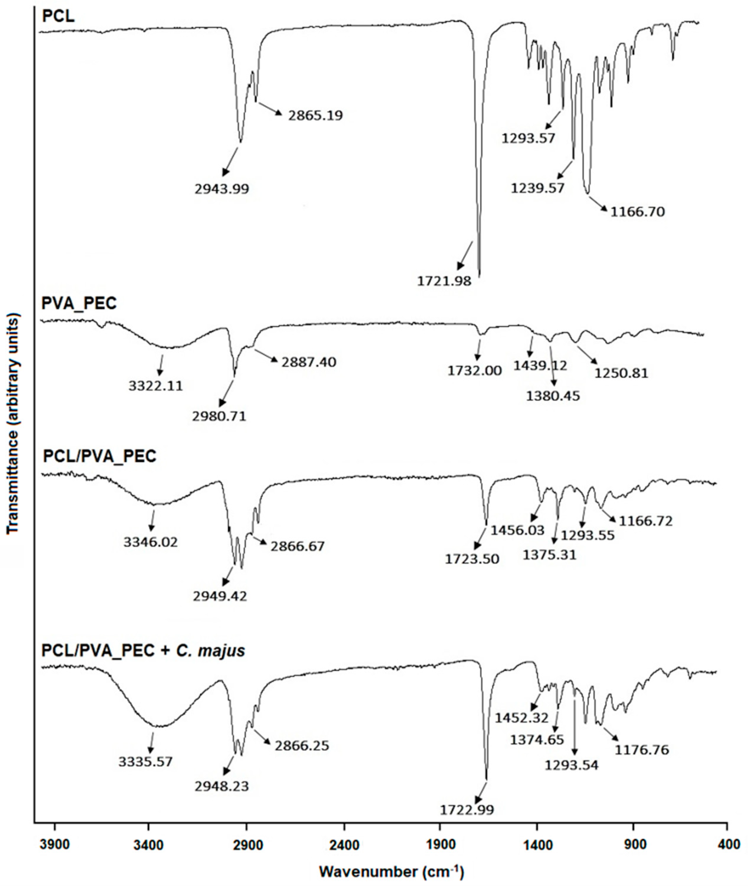 Nanomaterials 11 01785 g001
