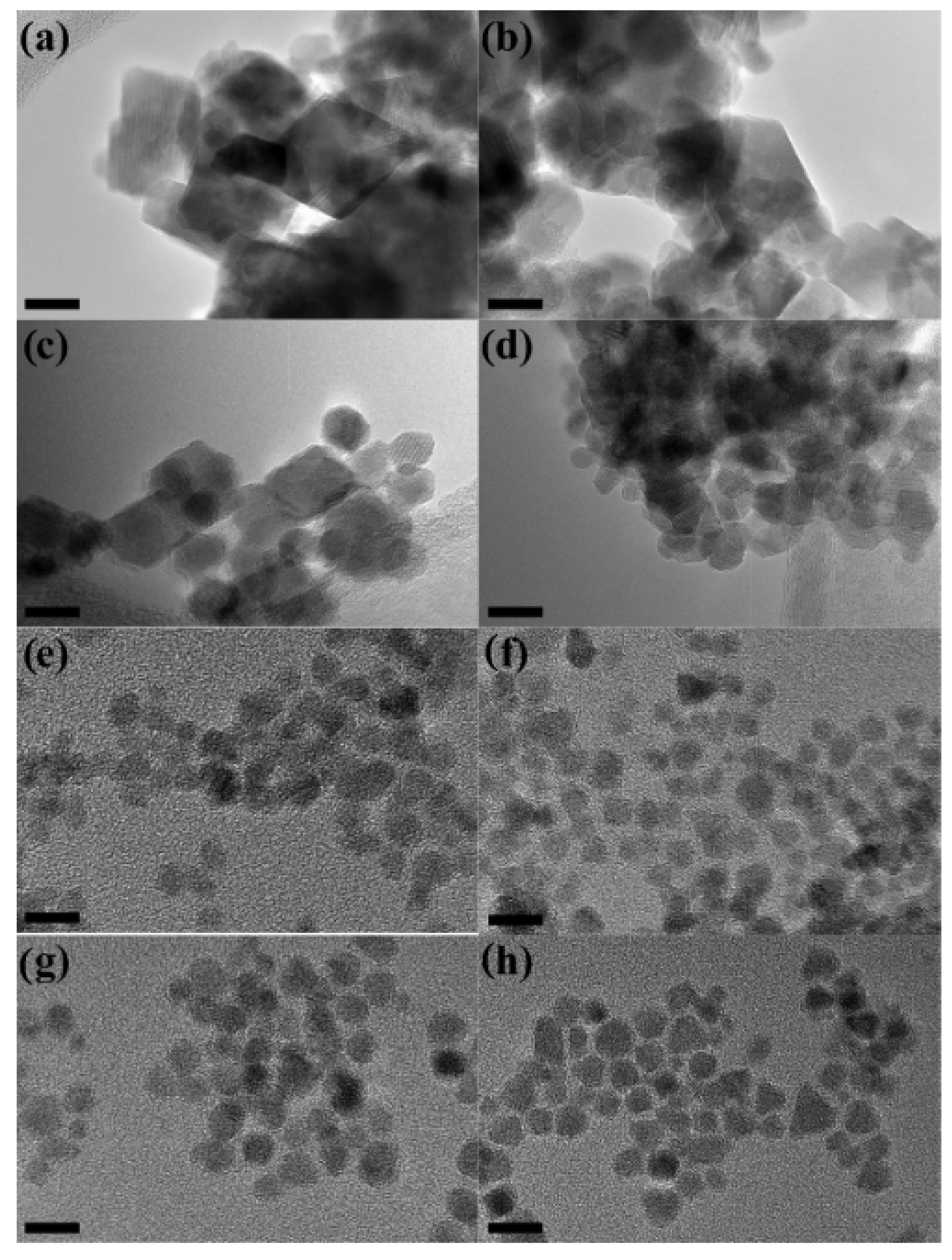 Nanomaterials 11 01787 g008