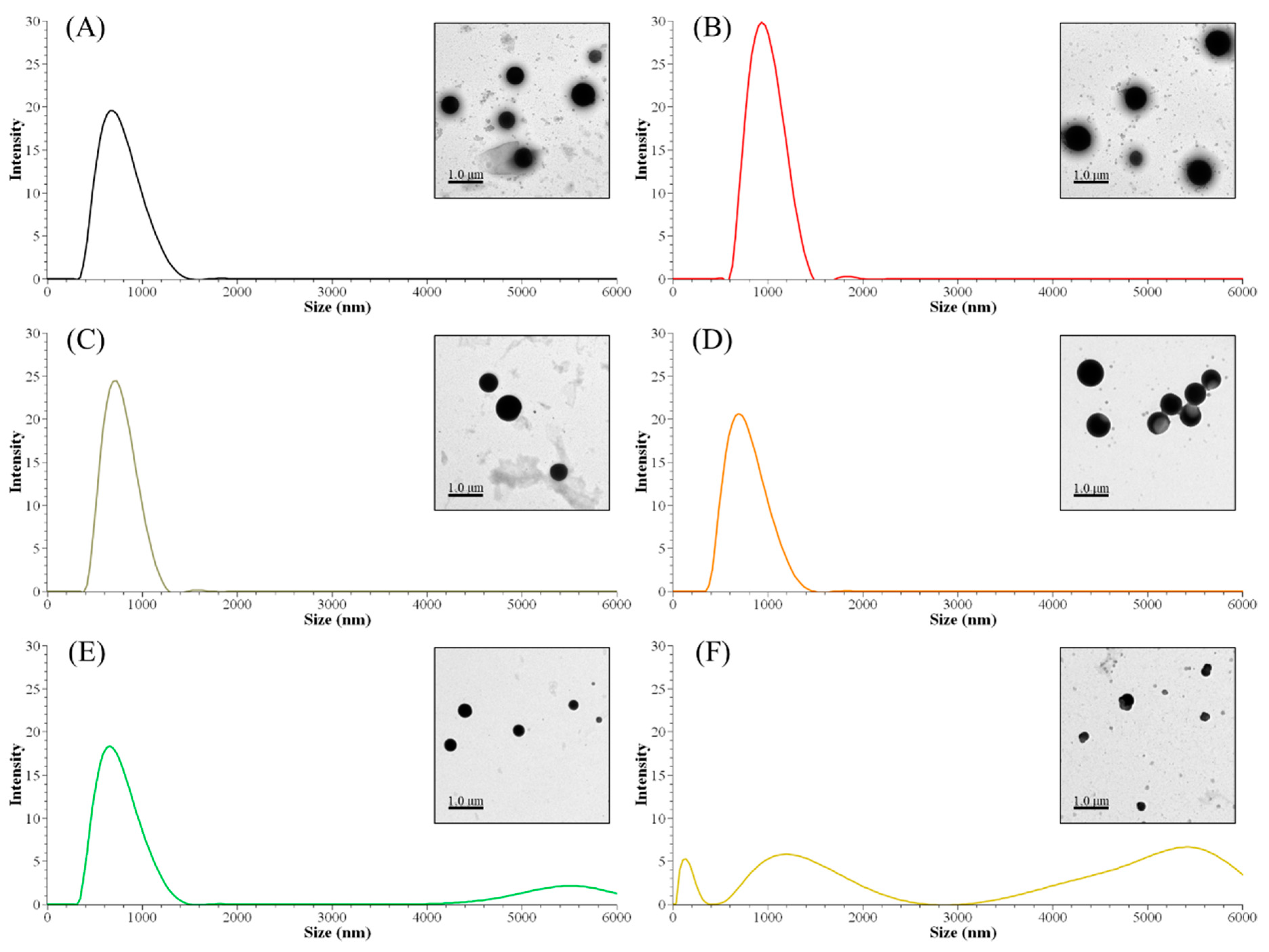 Nanomaterials 11 01790 g002
