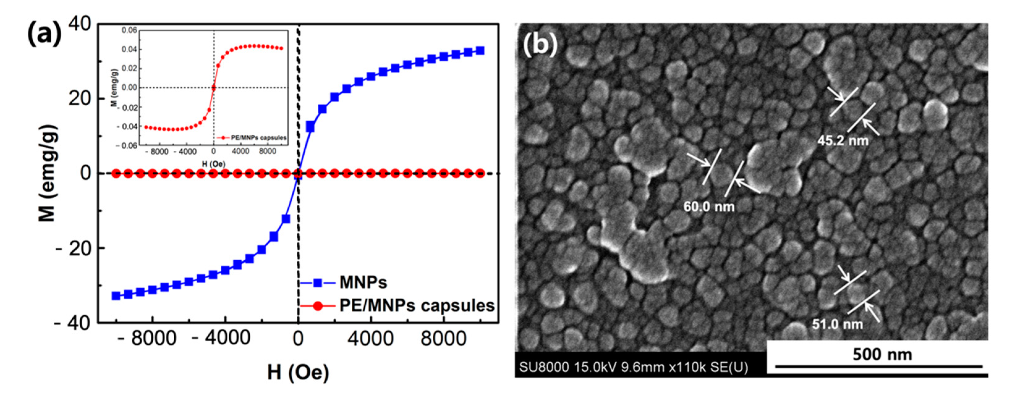 Nanomaterials 11 01801 g005
