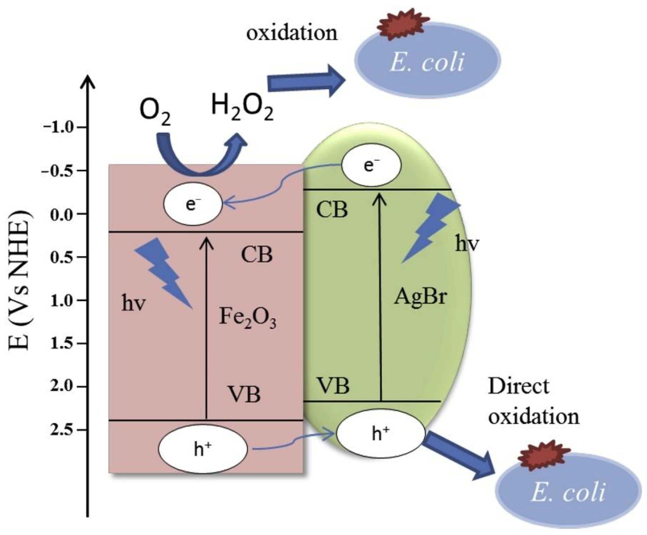 Nanomaterials 11 01804 g007