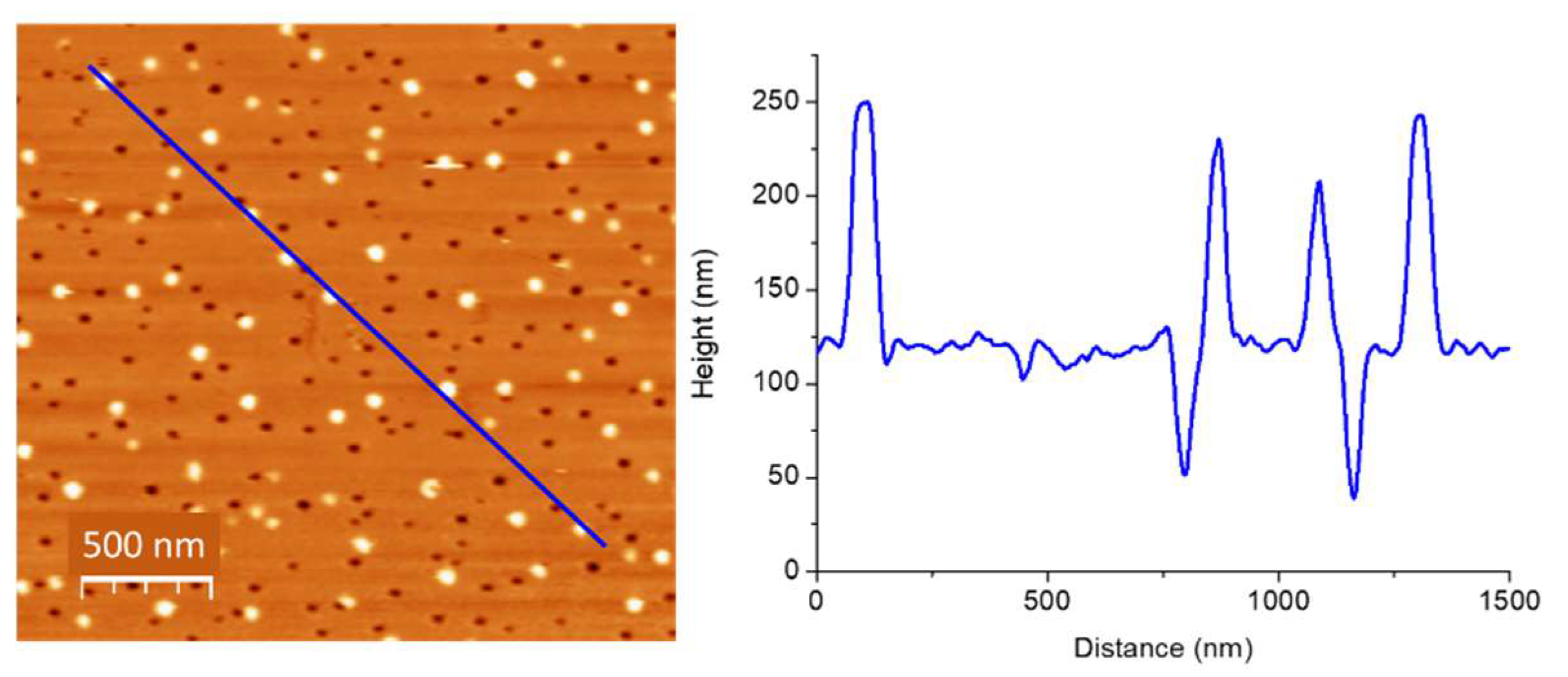 Nanomaterials 11 01806 g001