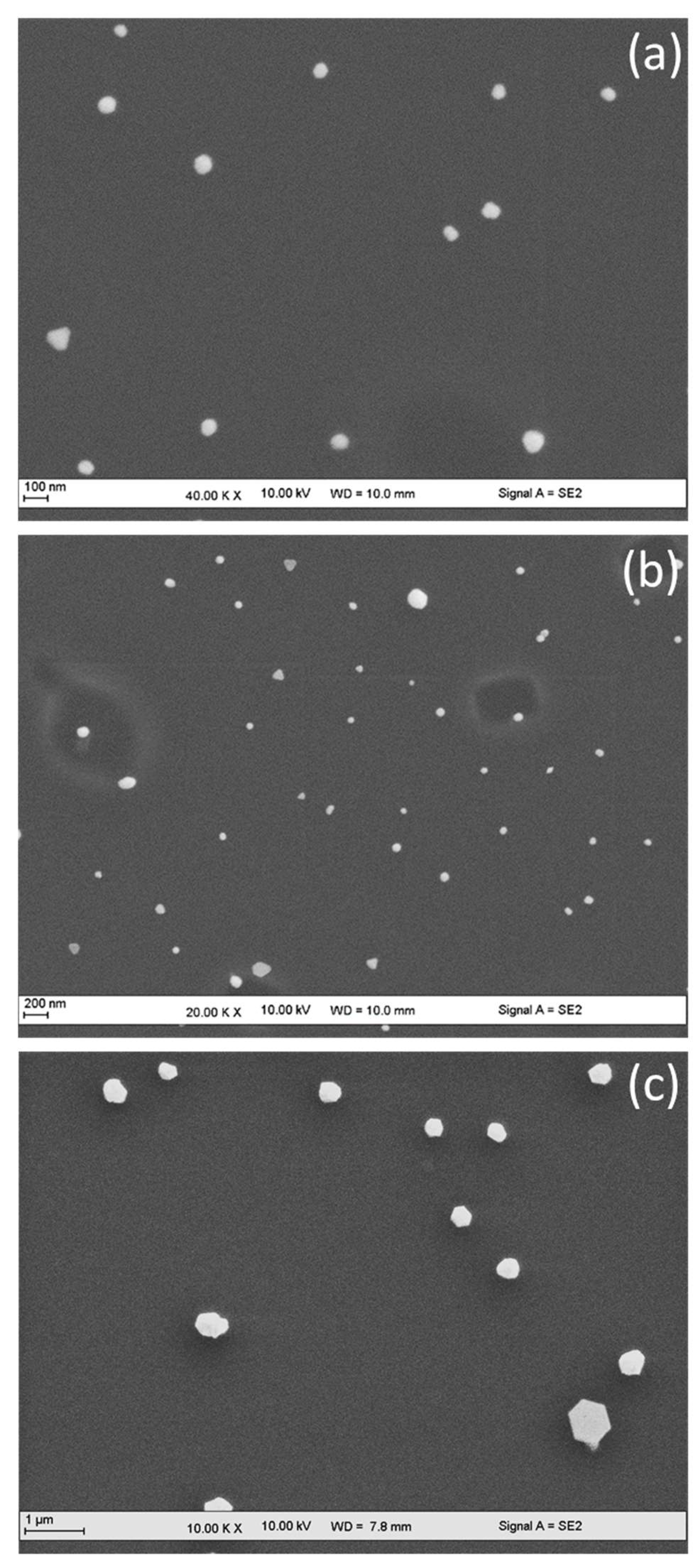 Nanomaterials 11 01806 g003